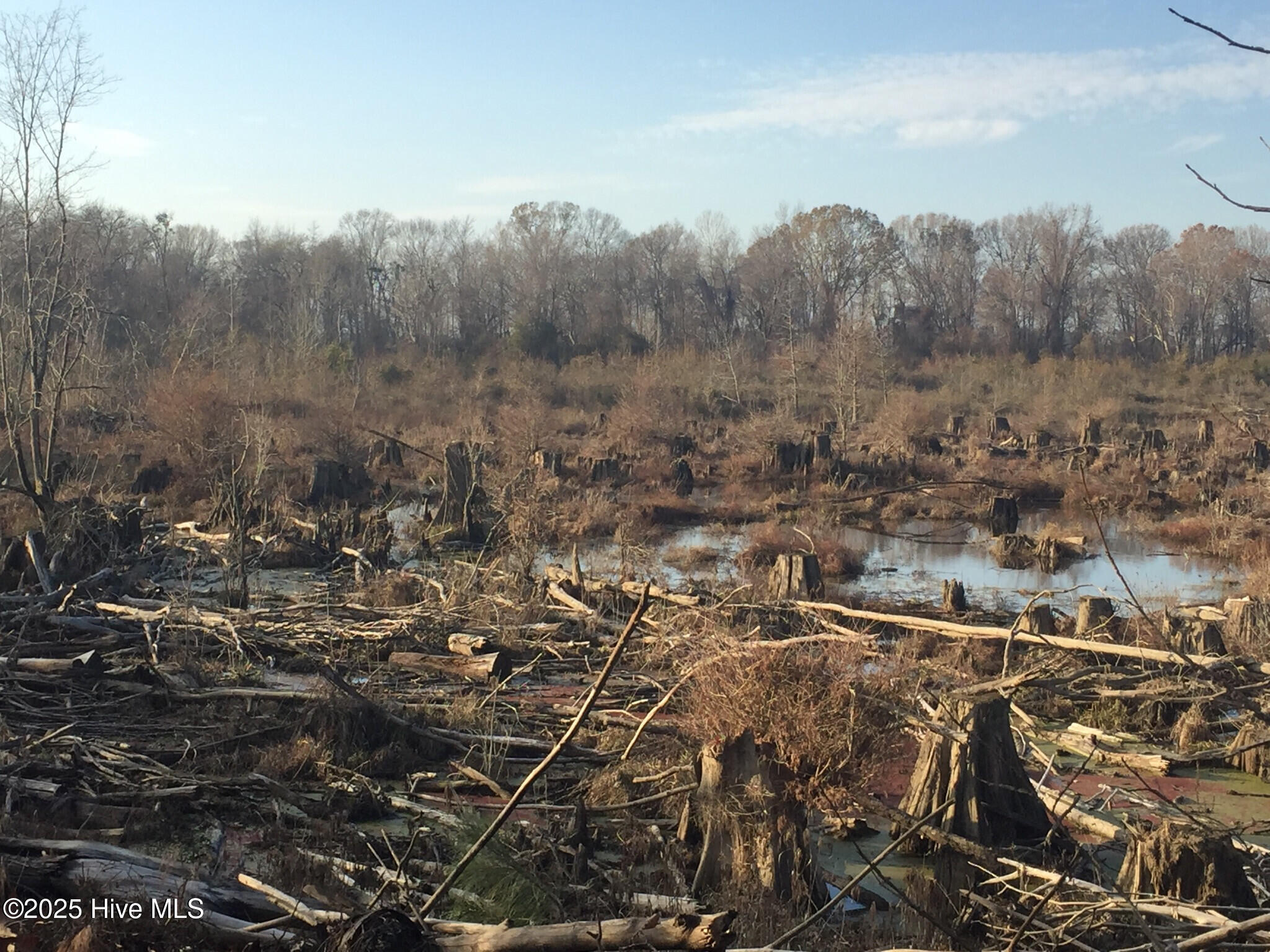 1064 Stevens Mill Road Property Photo 12