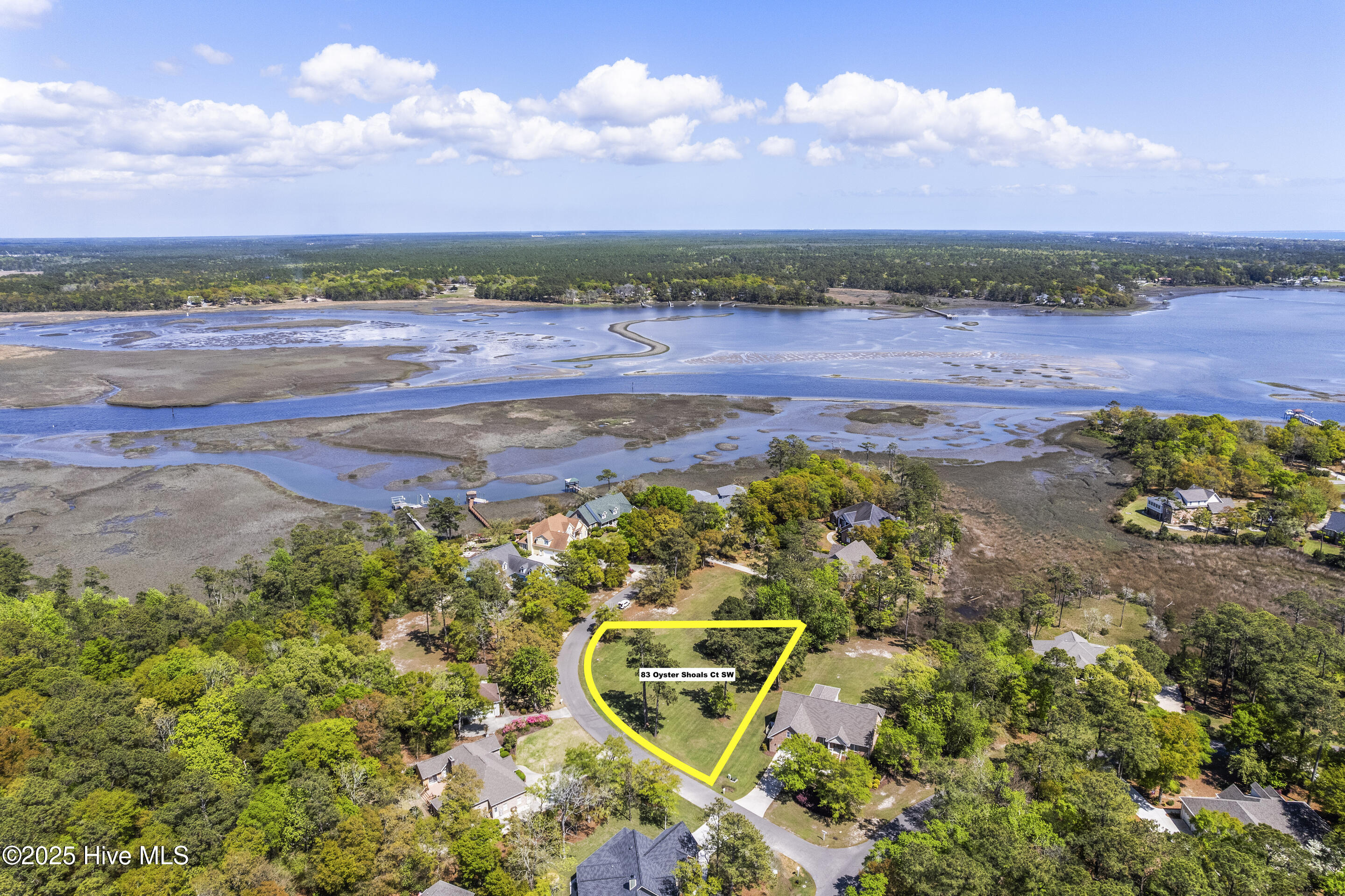 83 Oyster Shoals Court Property Photo 4
