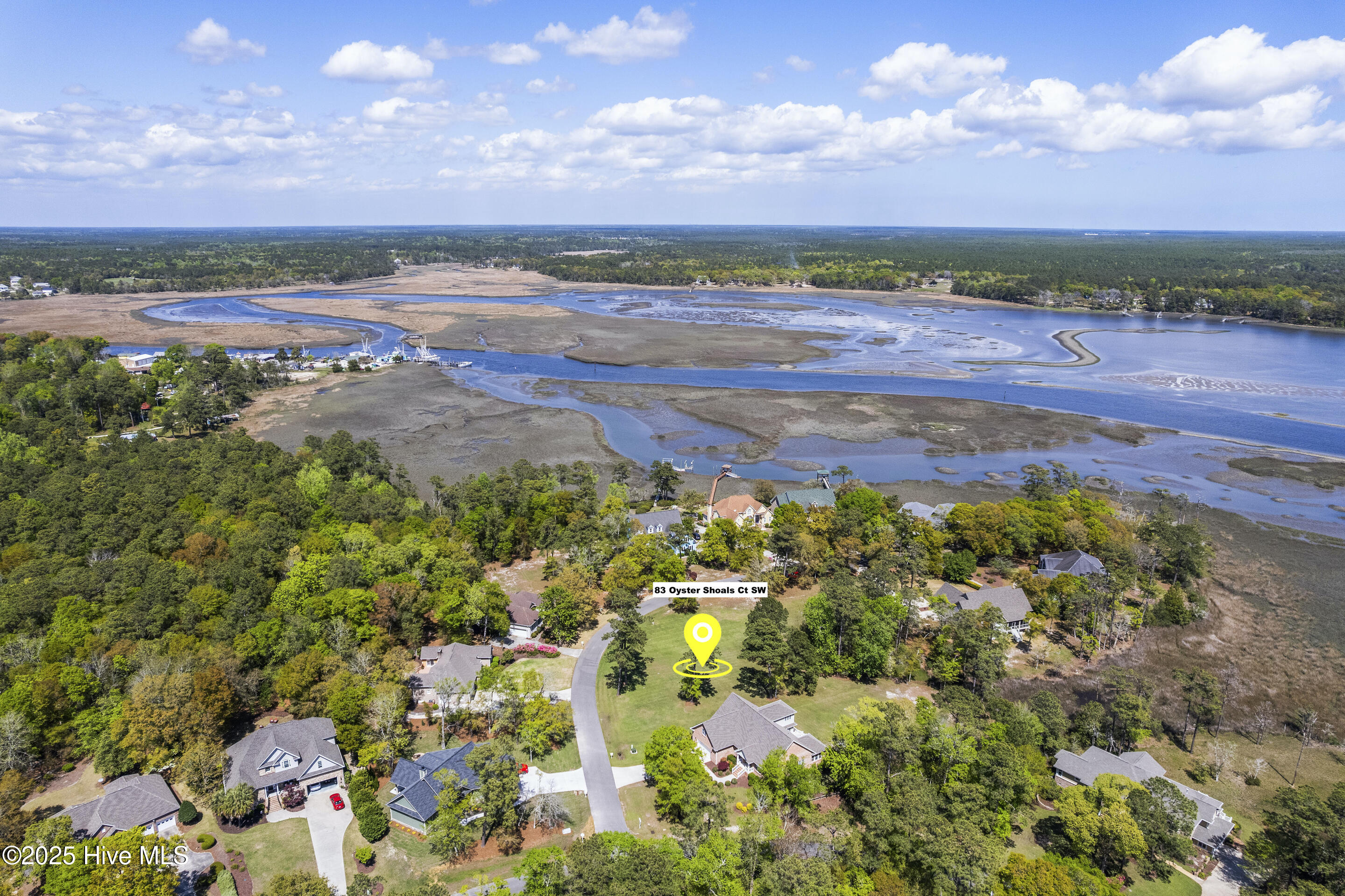 83 Oyster Shoals Court Property Photo 5