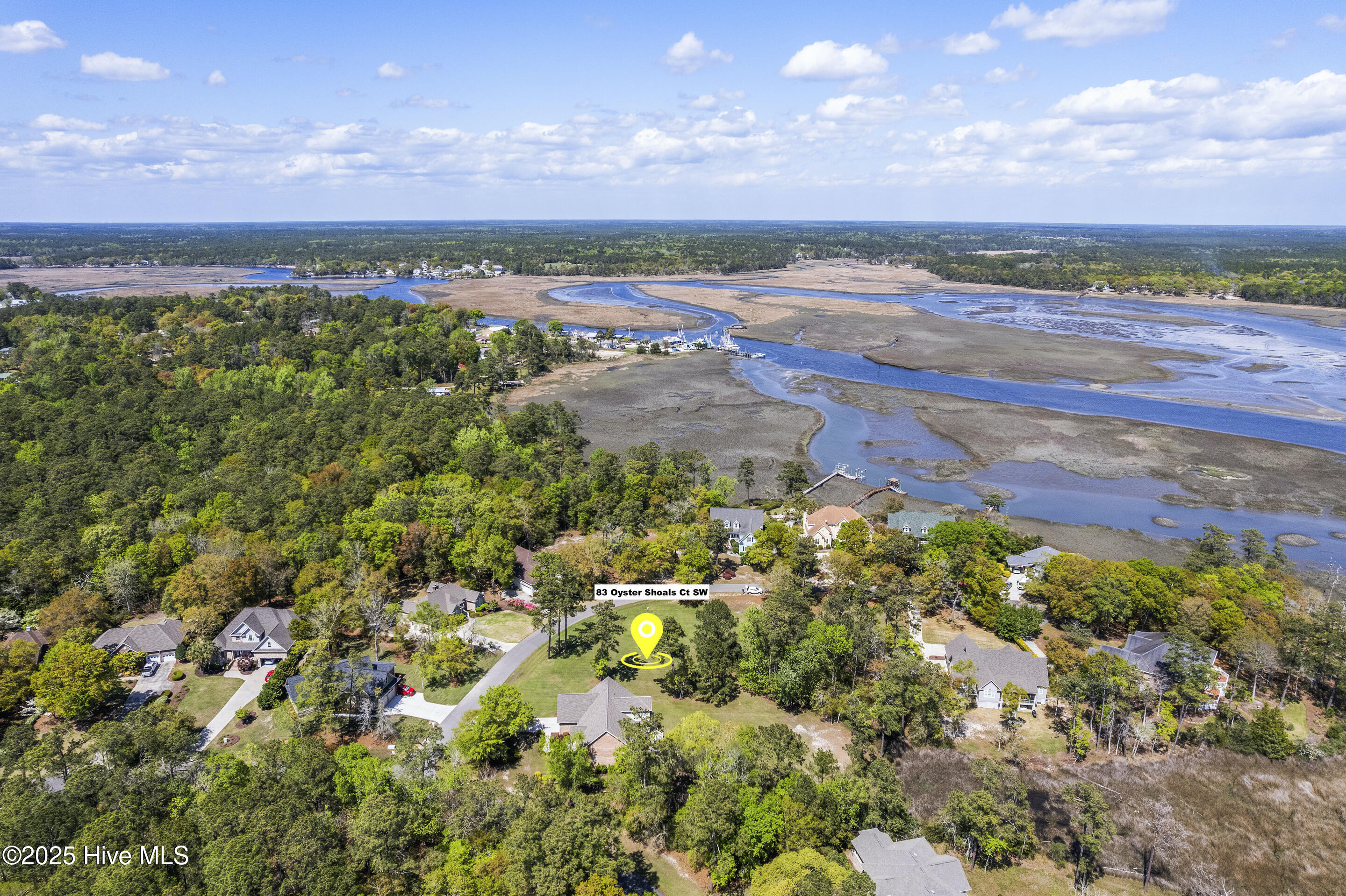 83 Oyster Shoals Court Property Photo 6