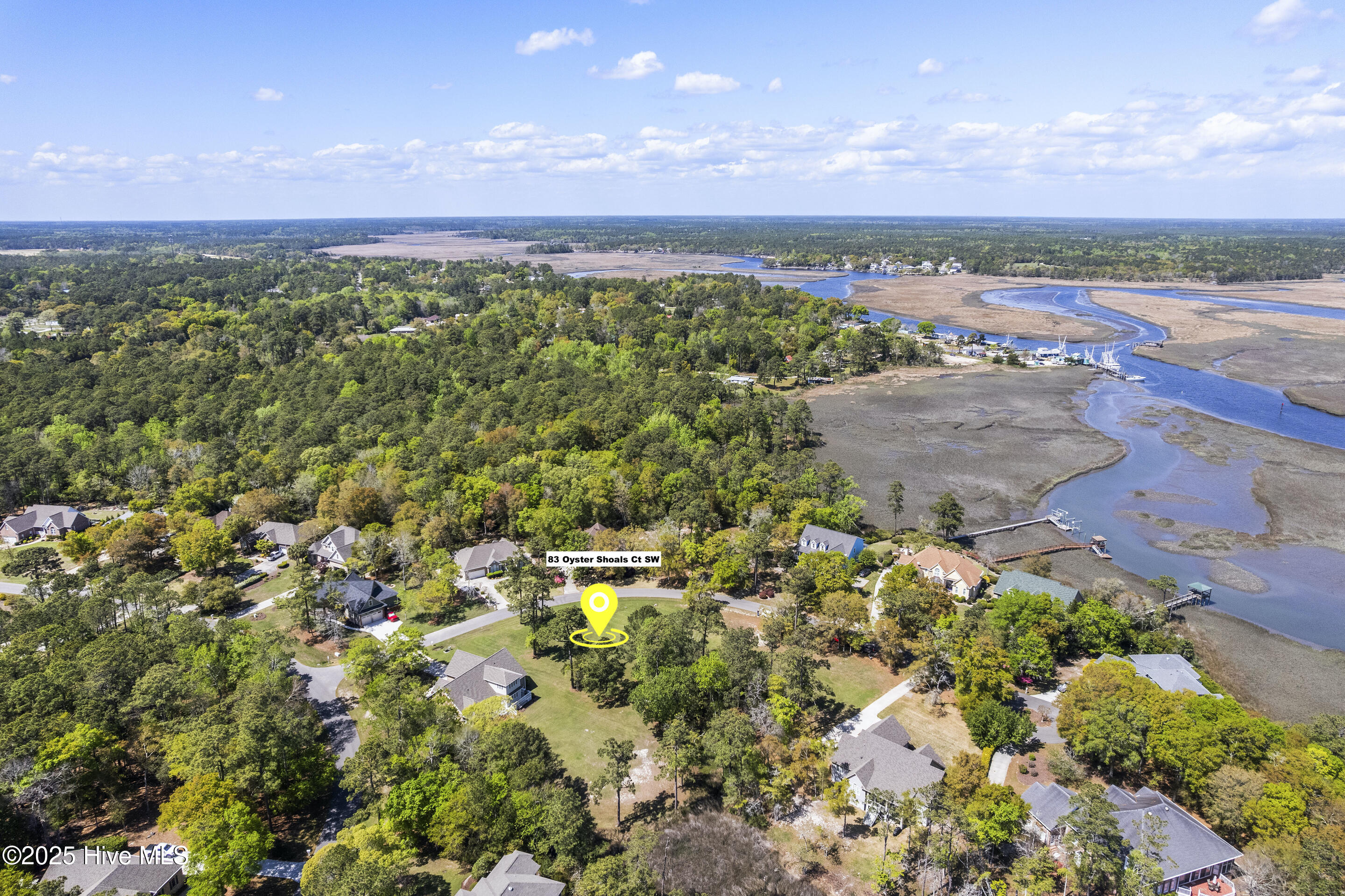 83 Oyster Shoals Court Property Photo 7