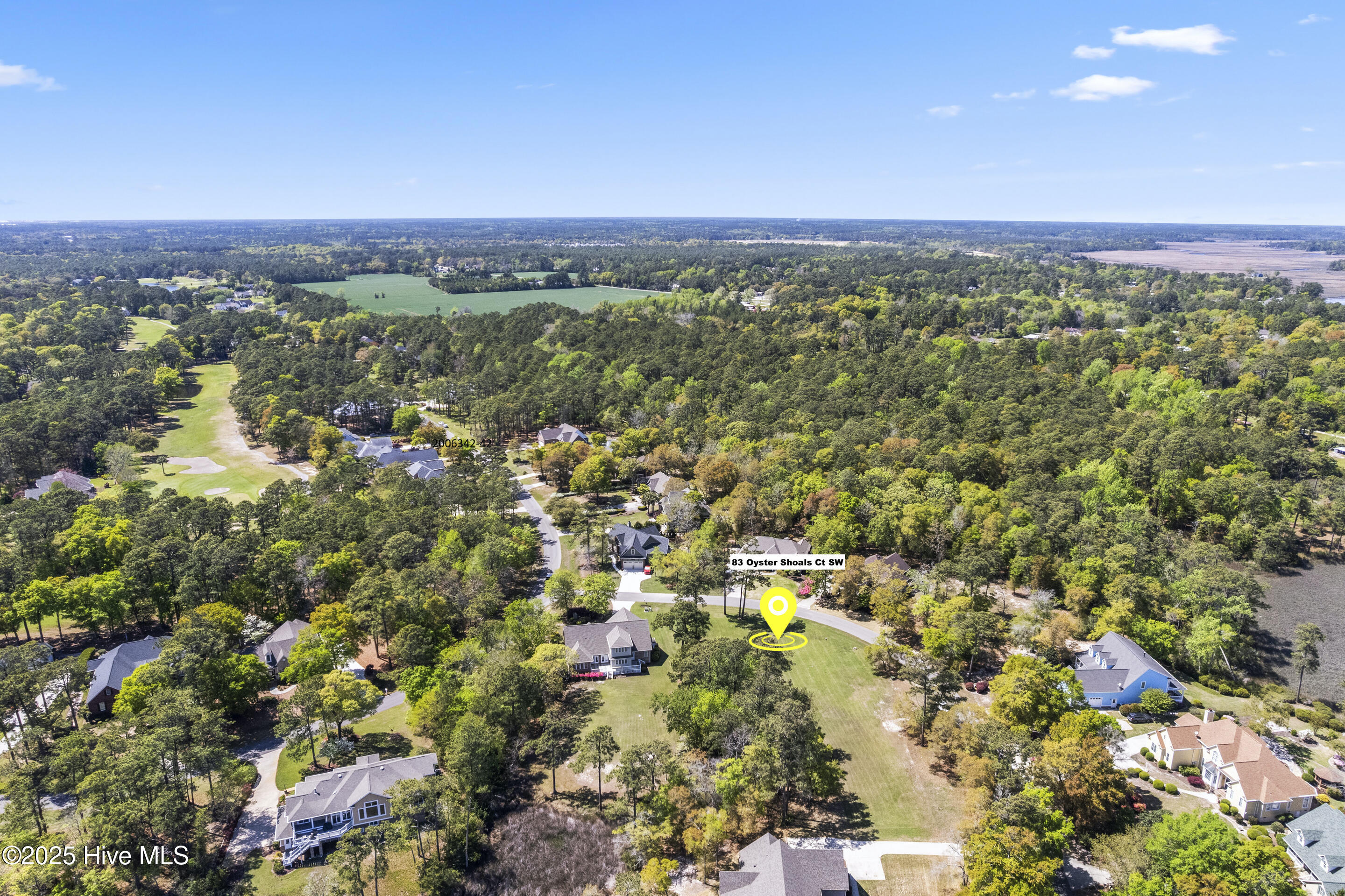 83 Oyster Shoals Court Property Photo 8