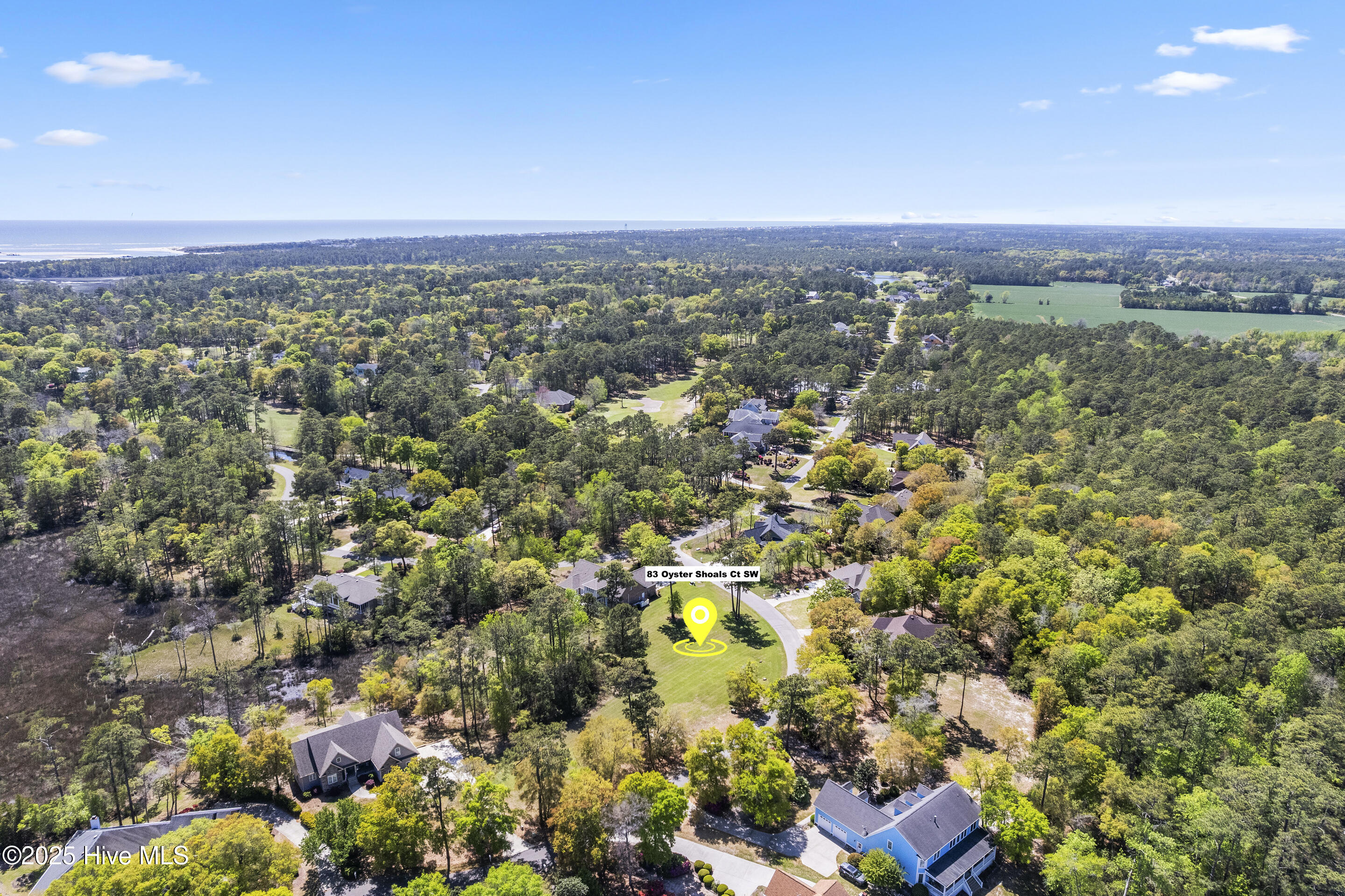 83 Oyster Shoals Court Property Photo 9