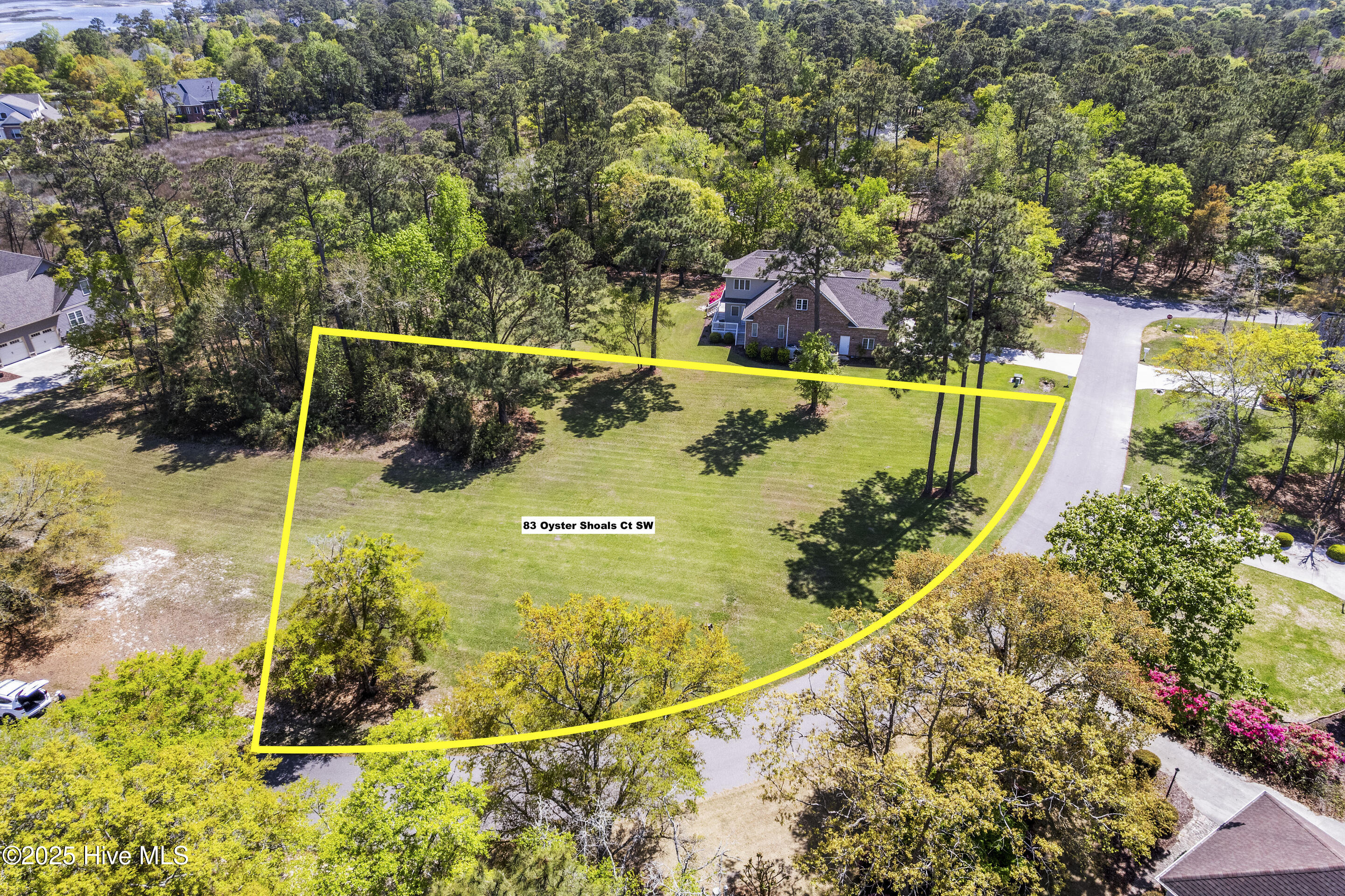 83 Oyster Shoals Court Property Photo 11