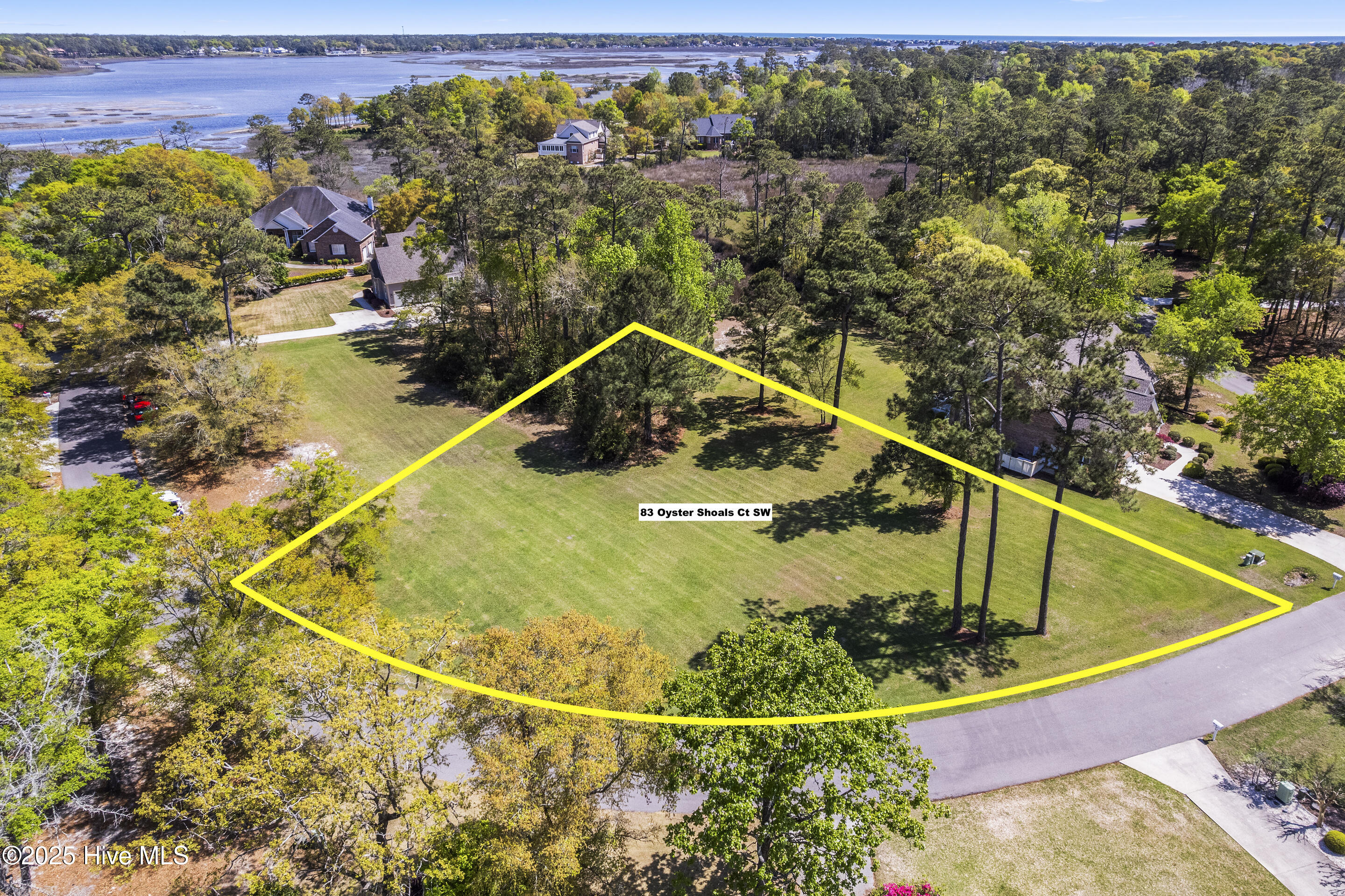 83 Oyster Shoals Court Property Photo 12