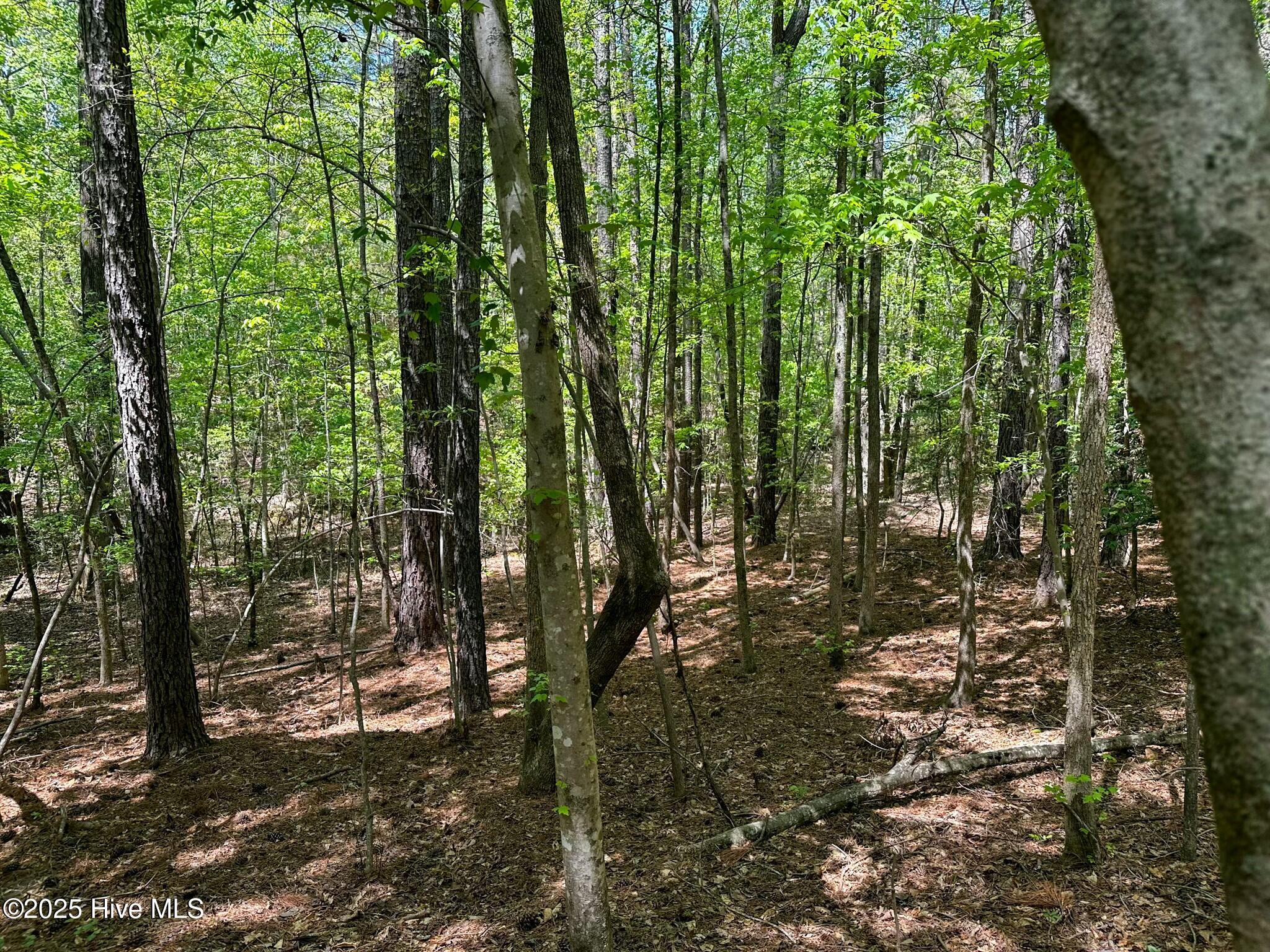 Tbd S Mcneill Street Property Photo 4