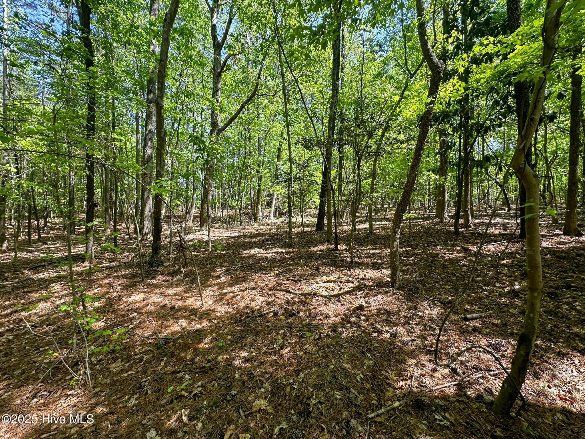 Tbd S Mcneill Street Property Photo 5