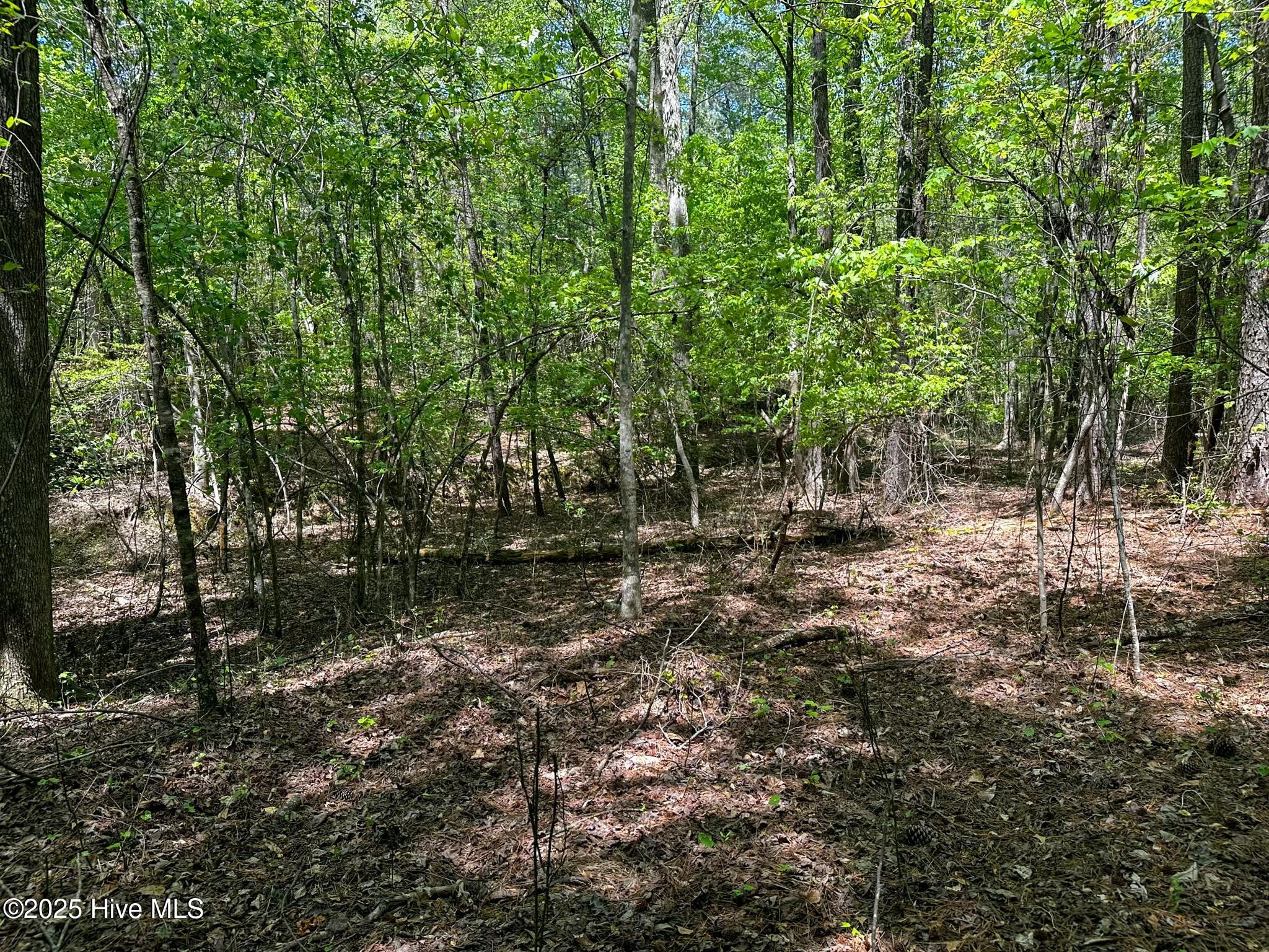 Tbd S Mcneill Street Property Photo 7