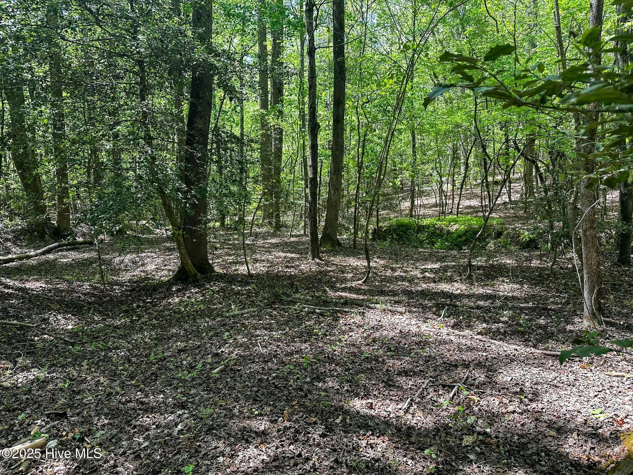 Tbd S Mcneill Street Property Photo 8