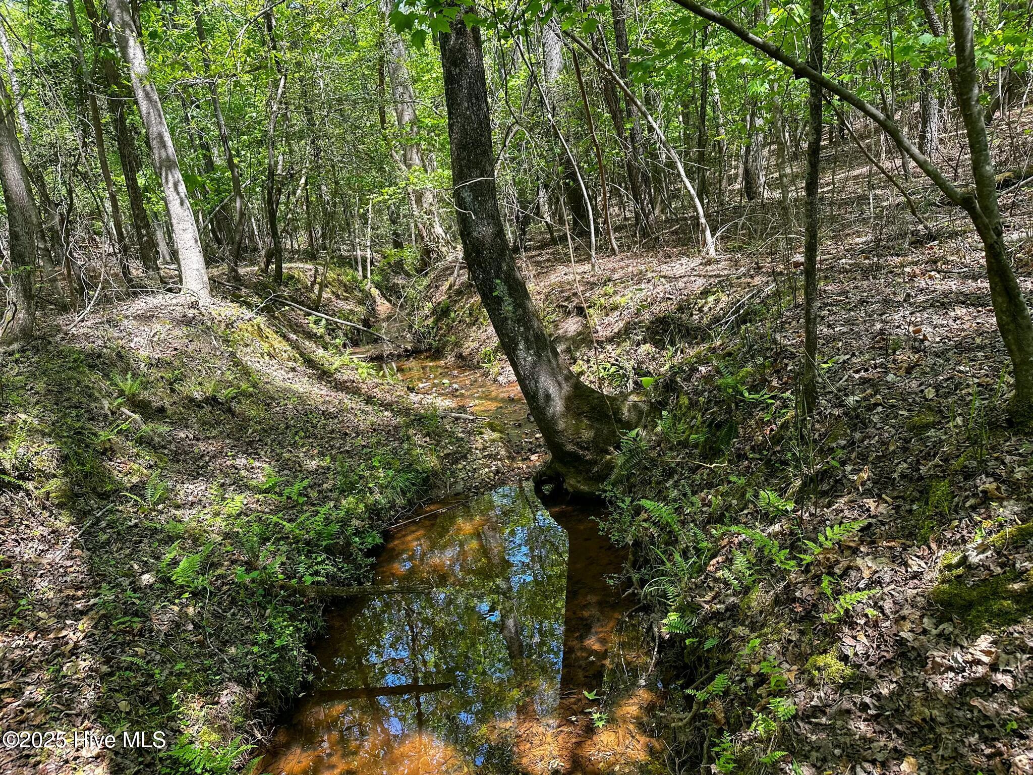 Tbd S Mcneill Street Property Photo 11