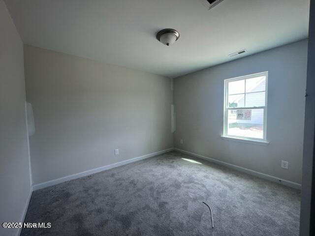 306 Cotton Hill Place Property Photo 7