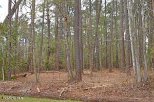 7203 Brigantine Boulevard Property Photo
