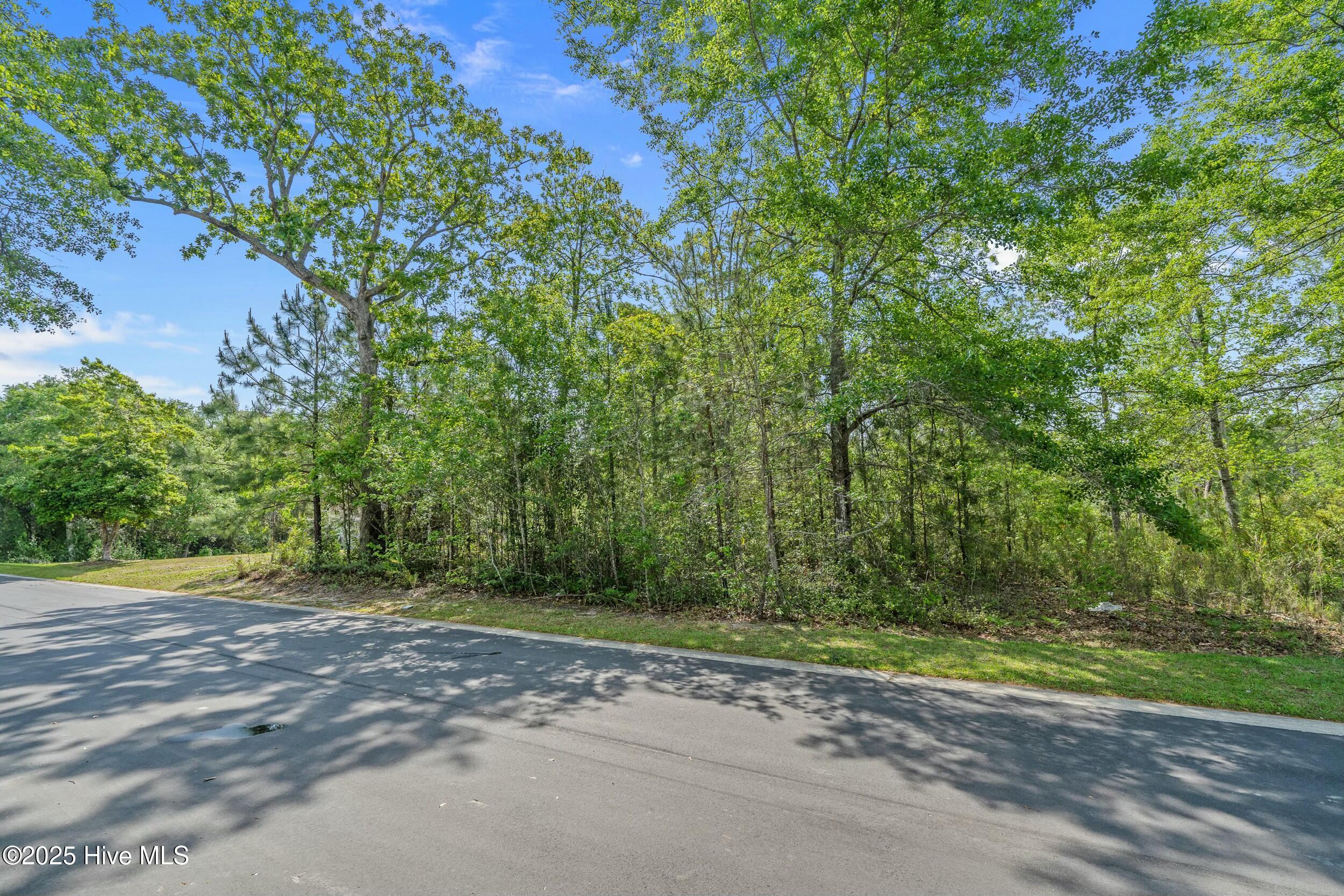 3088 Brackenbury Street Property Photo