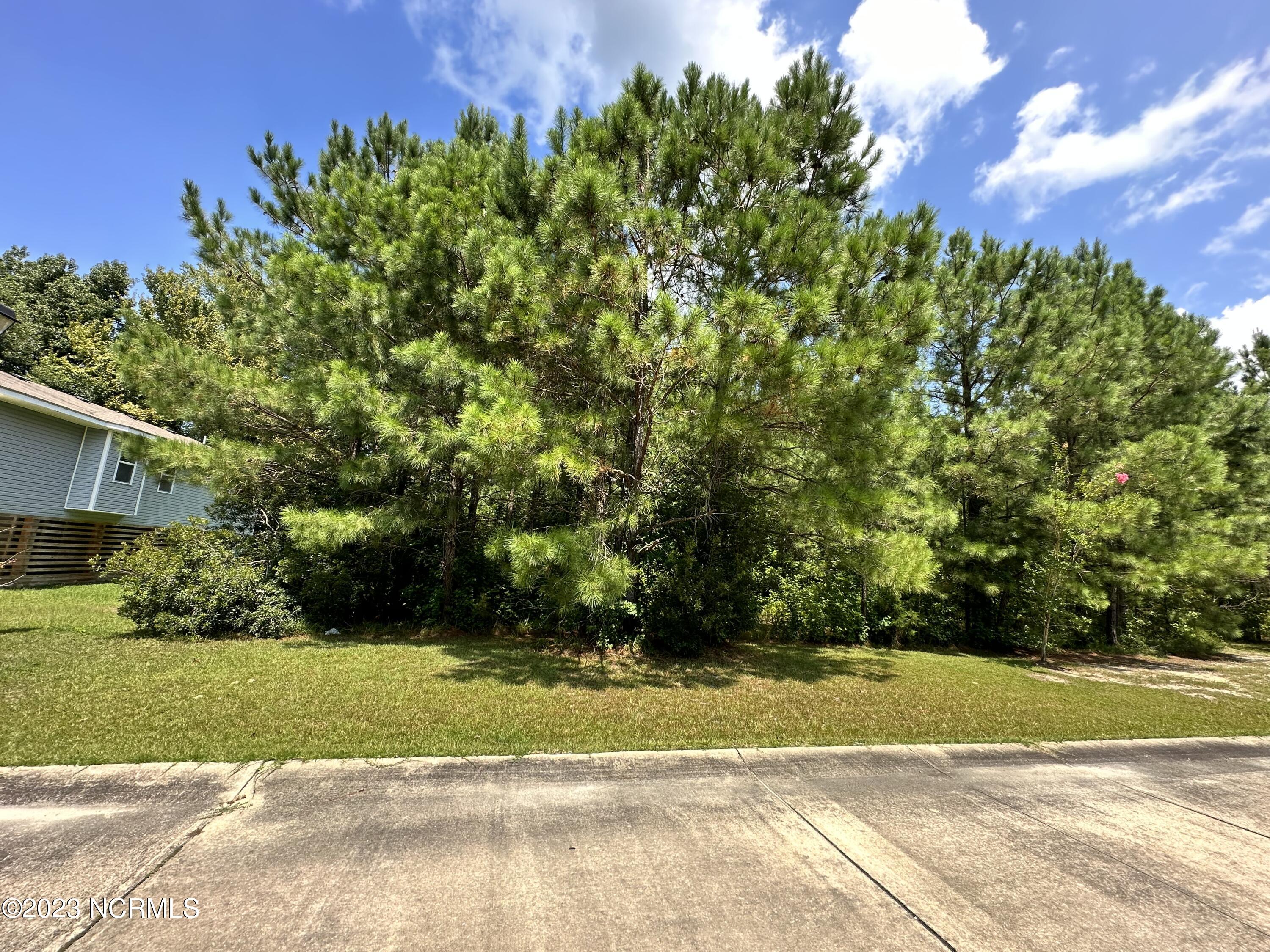 Tyrrell County Real Estate Listings Main Image