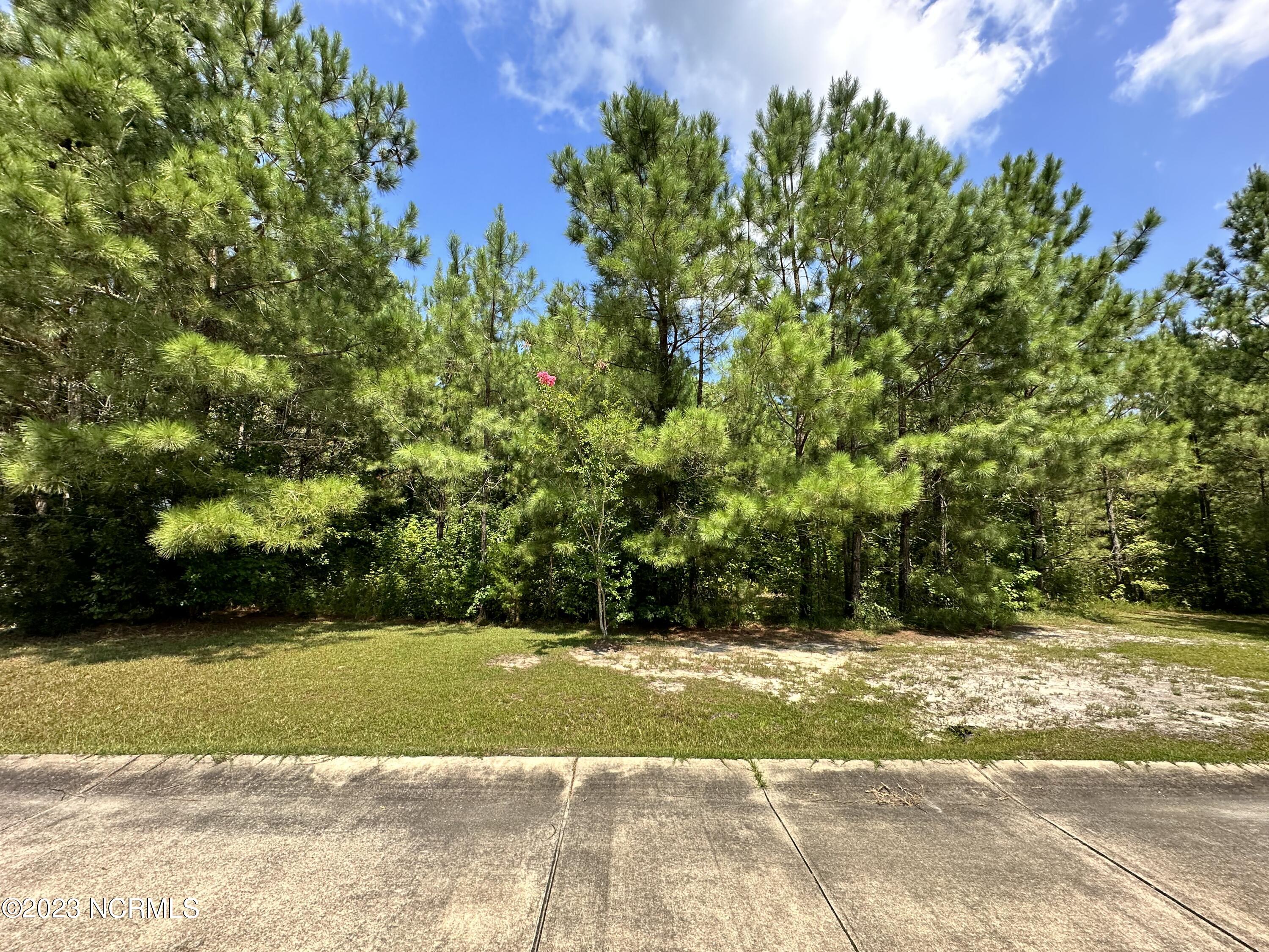 71 Dana's Way Way Property Photo