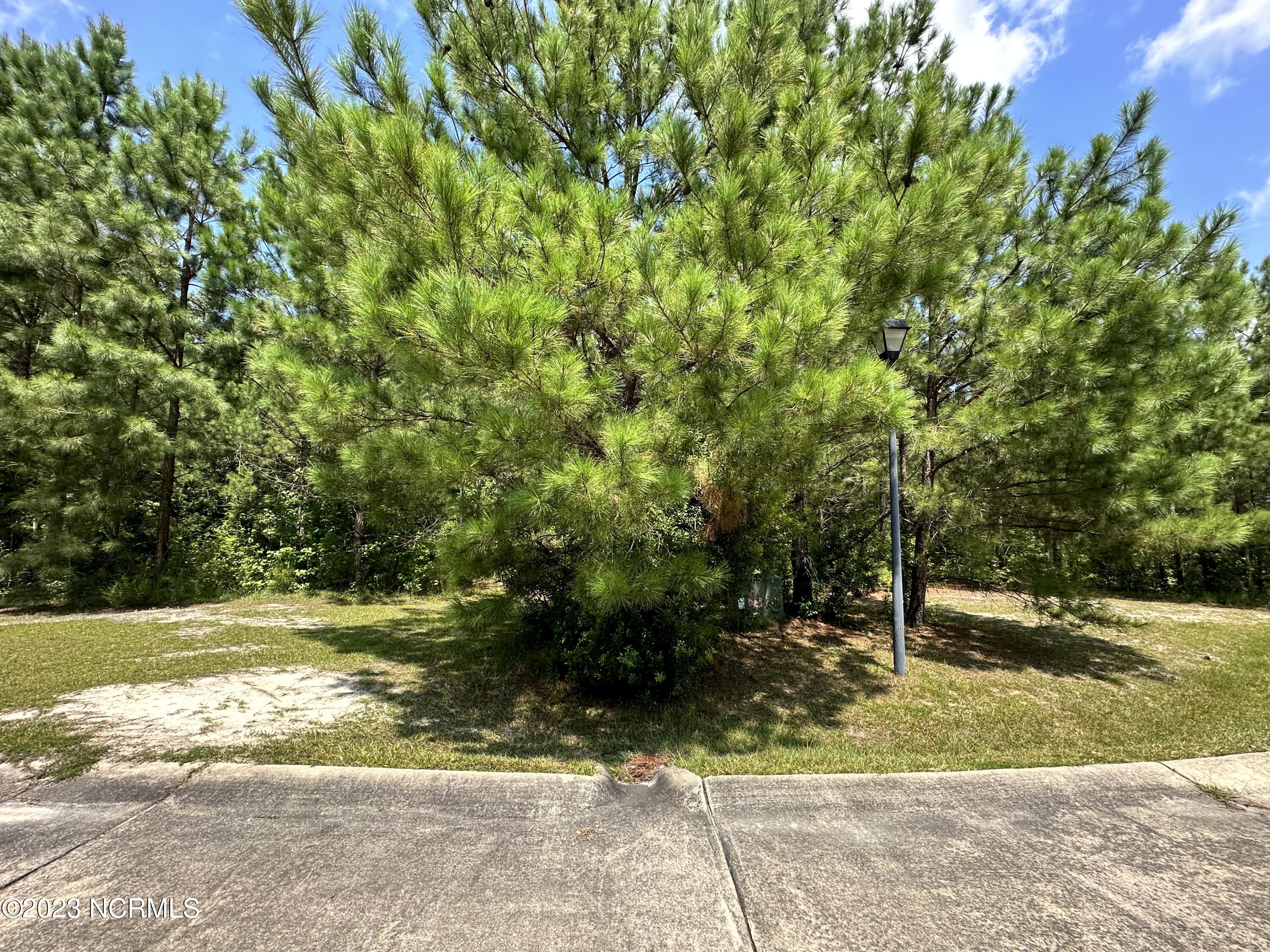 85 Dana's Way Way Property Photo