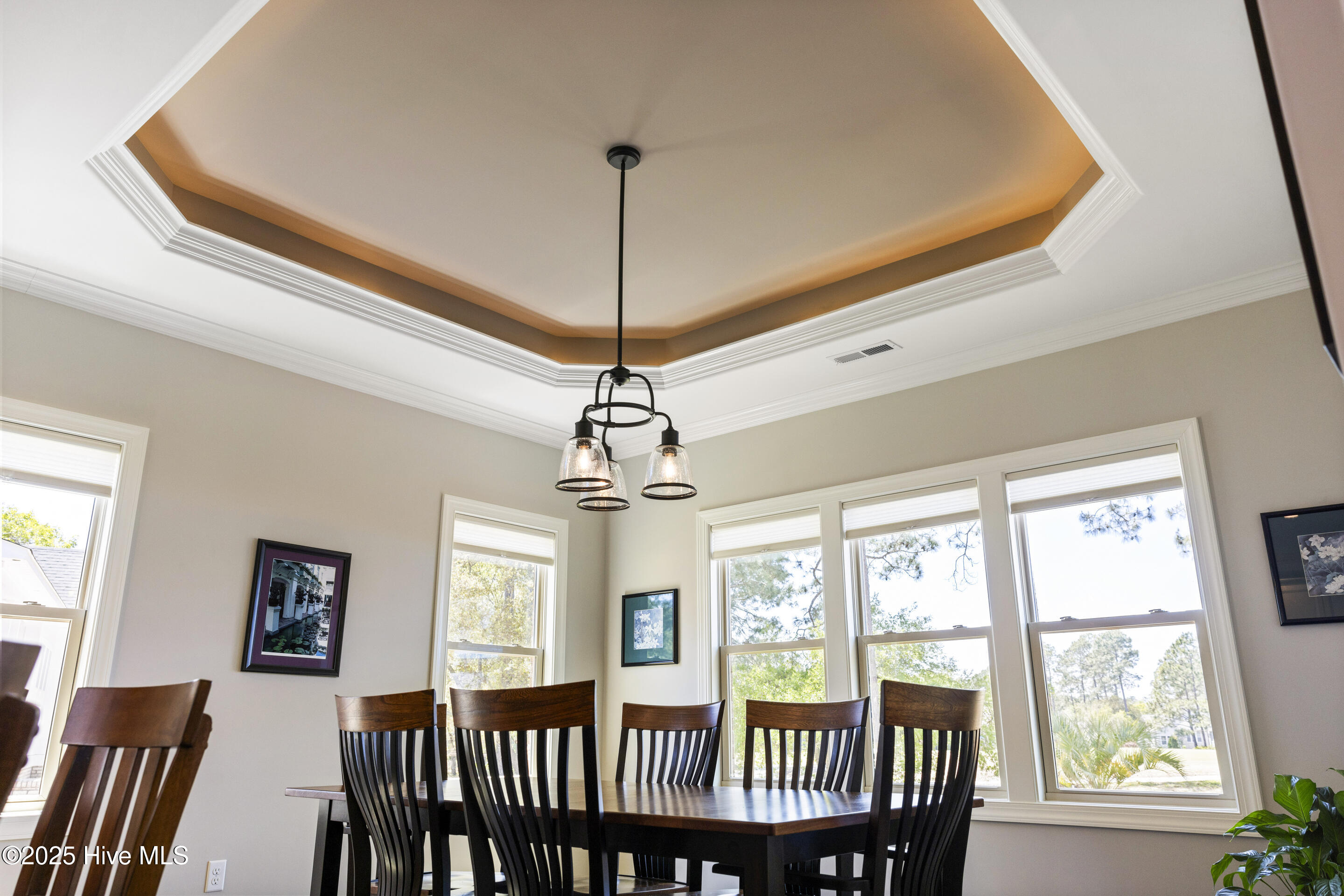 1731 Mute Swan Lane Property Photo 35