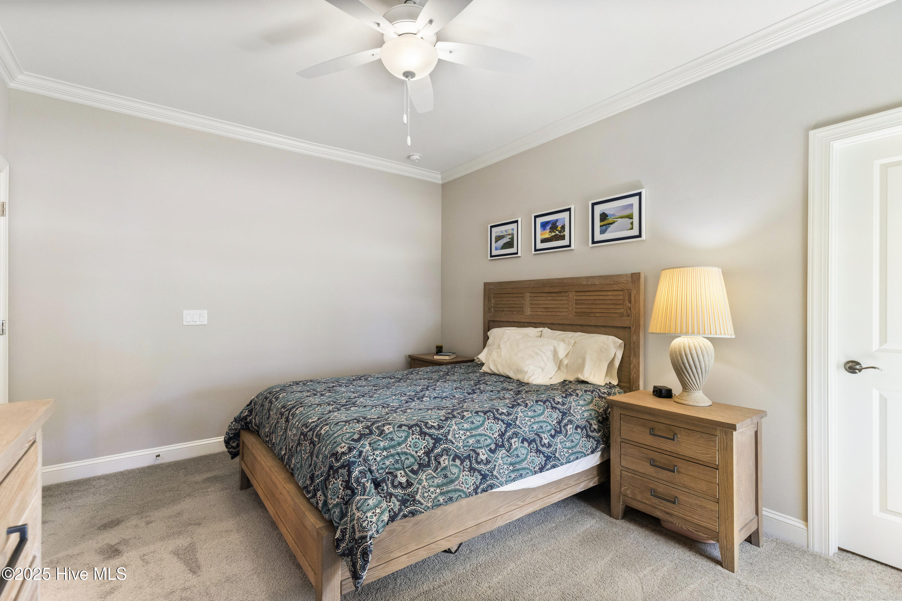 1731 Mute Swan Lane Property Photo 61