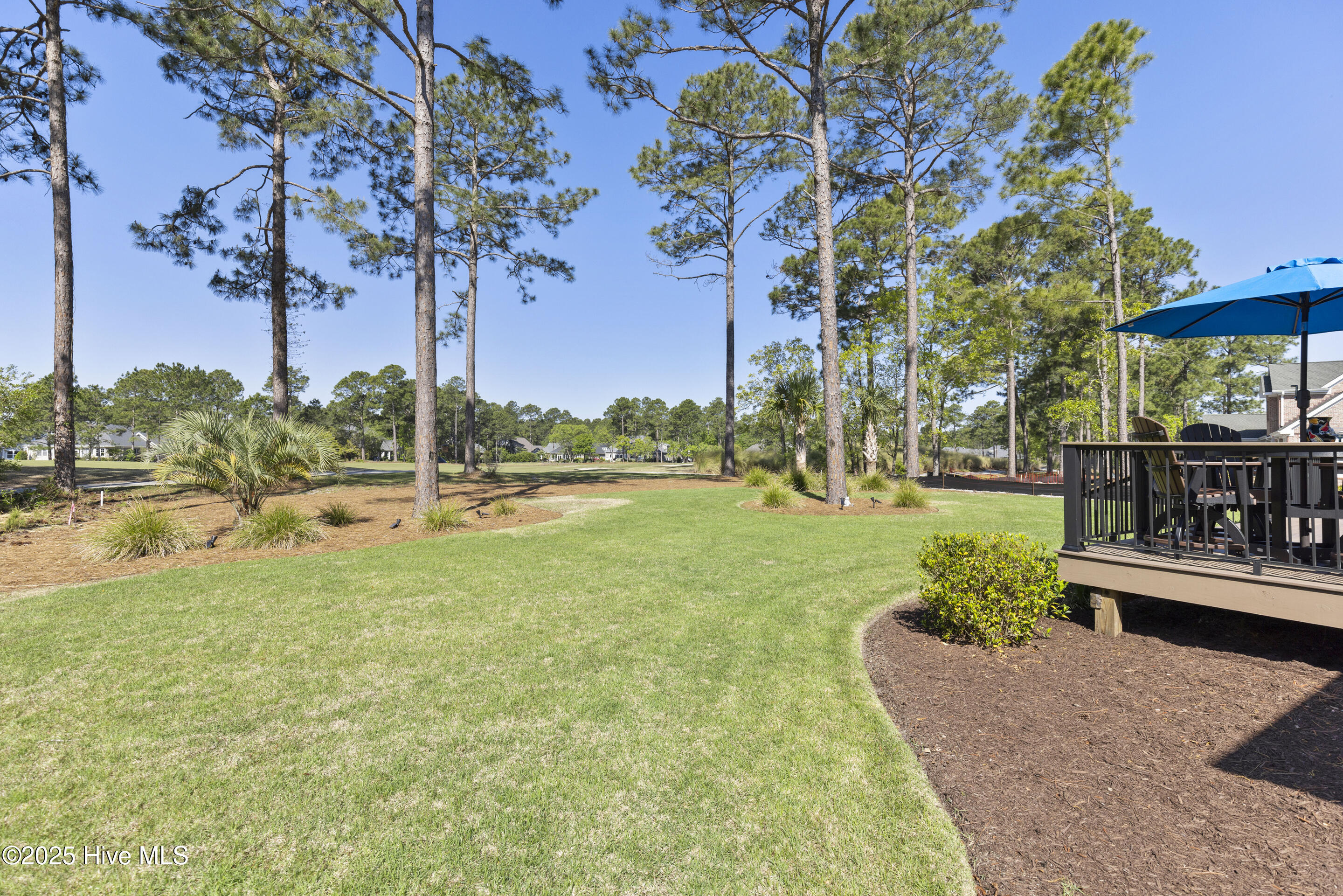 1731 Mute Swan Lane Property Photo 83