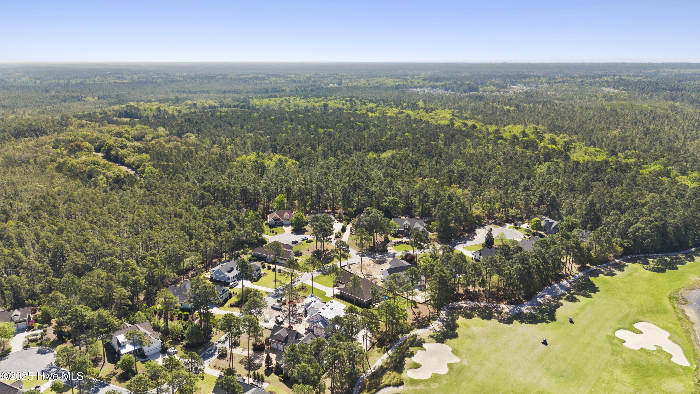 1731 Mute Swan Lane Property Photo 96