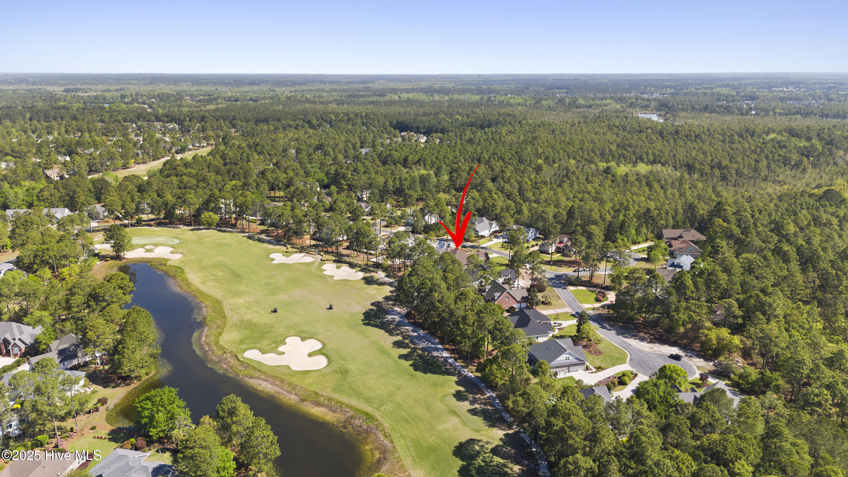 1731 Mute Swan Lane Property Photo 98
