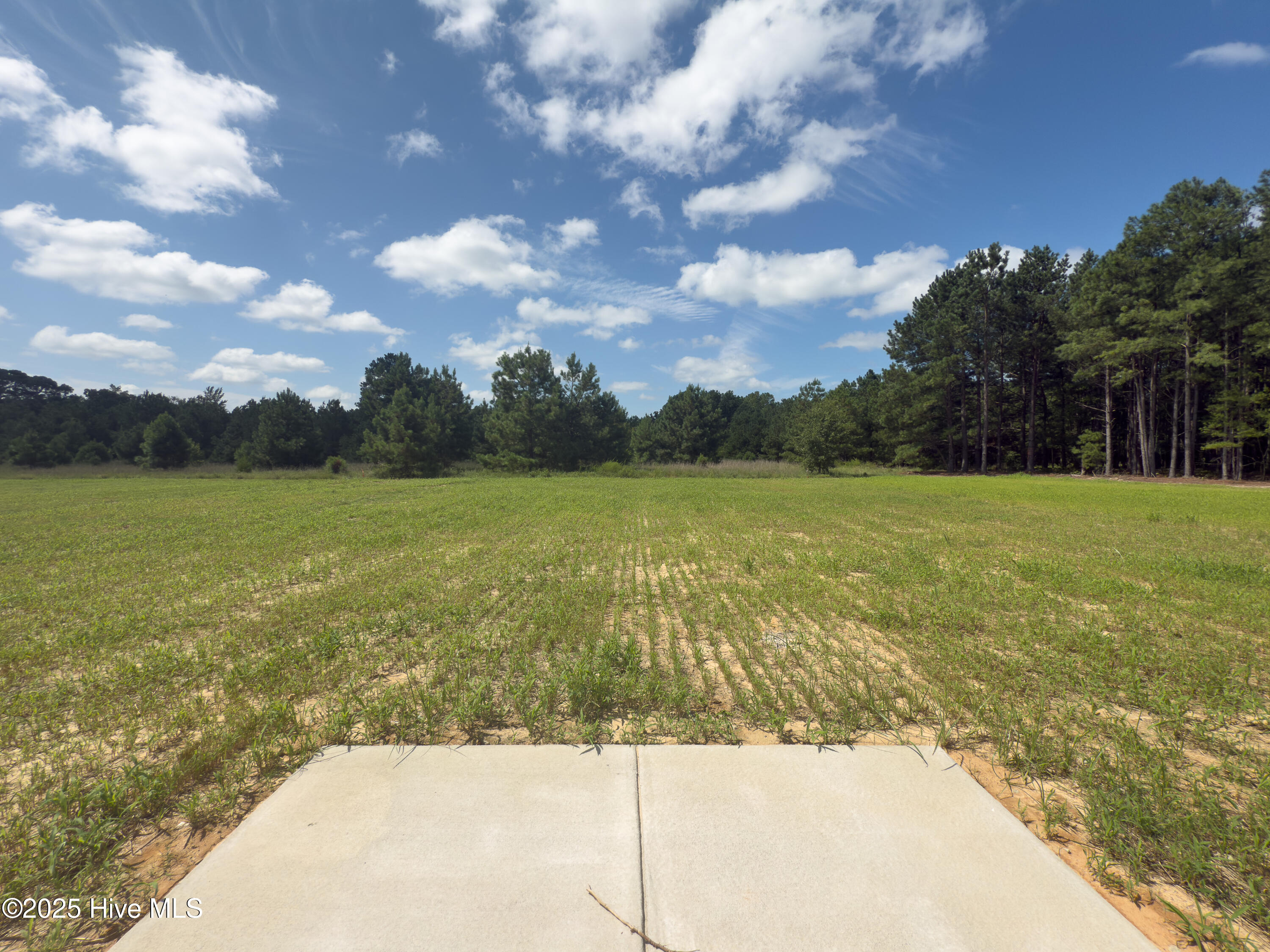 4858 Blue Springs Road Property Photo 13