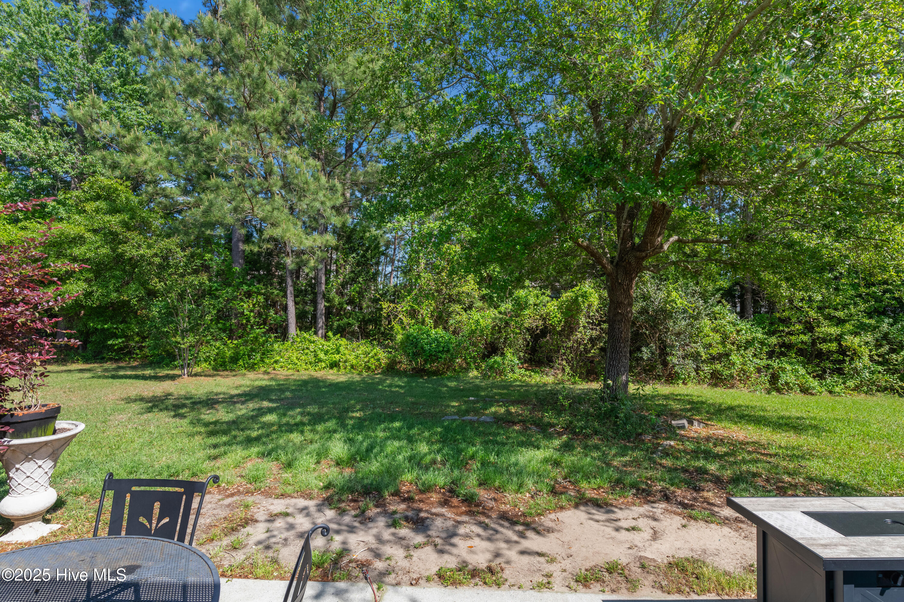 915 Corn Planters Circle Property Photo 6