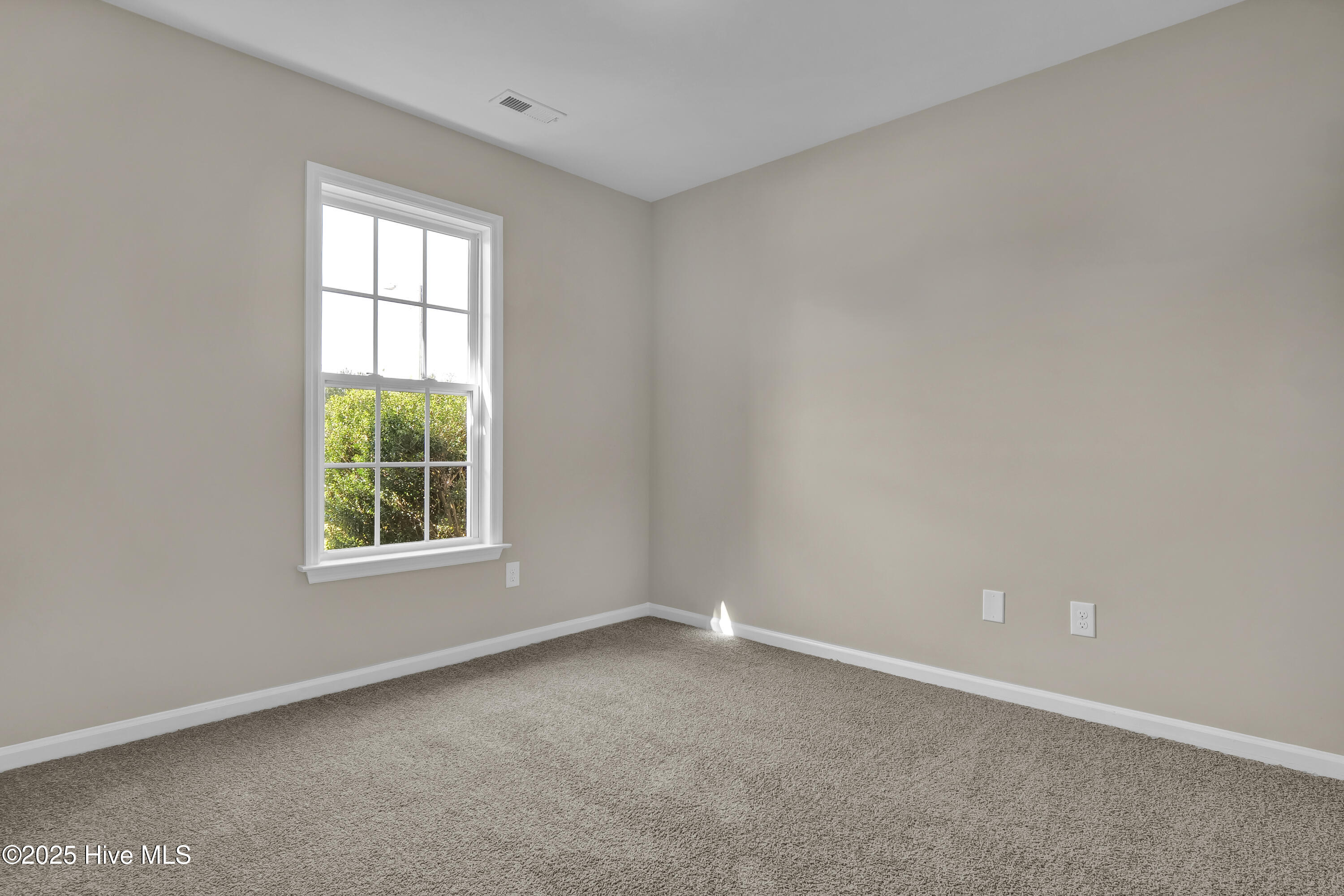 304 Big Tree Lane Property Photo 23