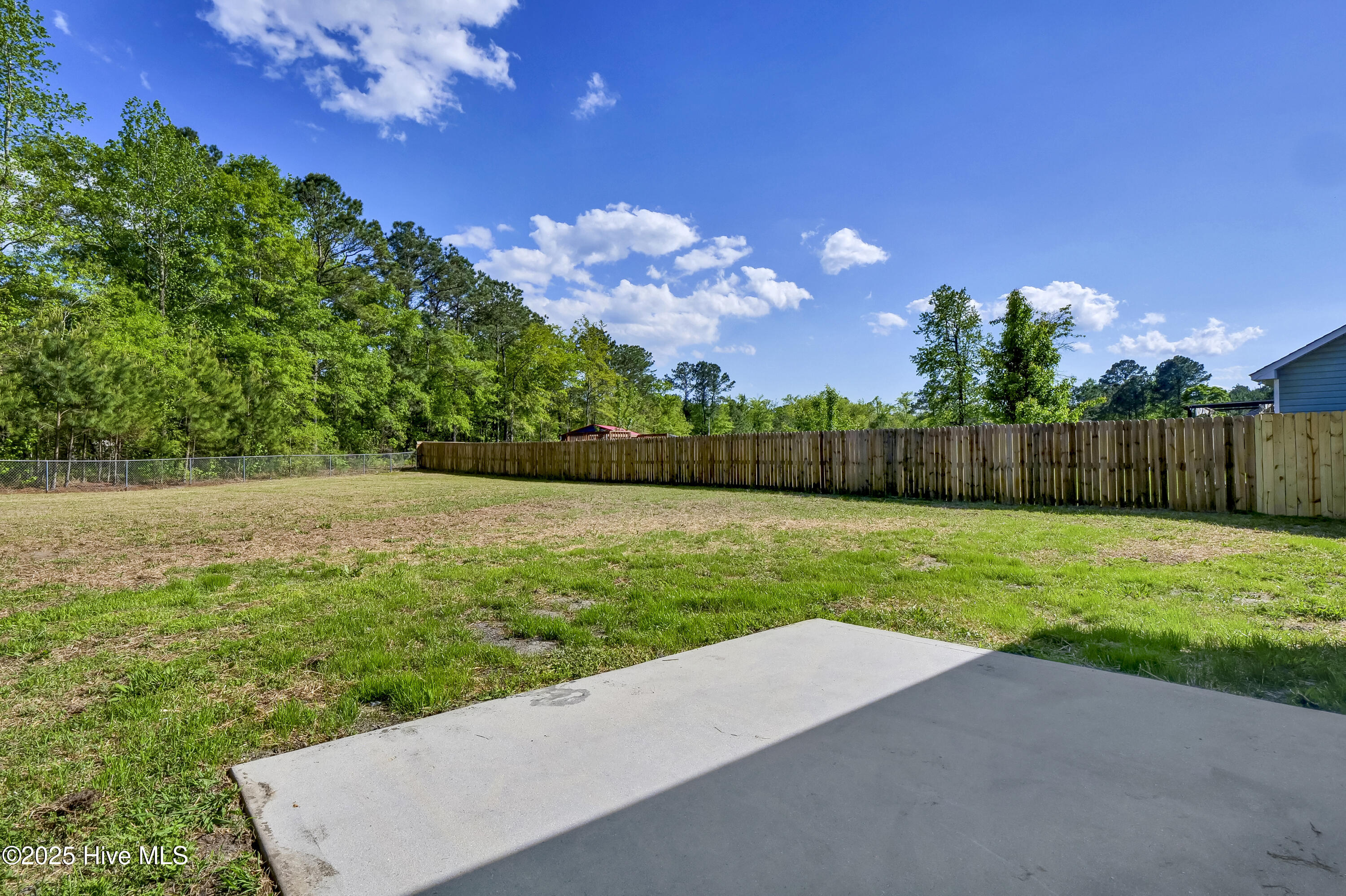 304 Big Tree Lane Property Photo 28