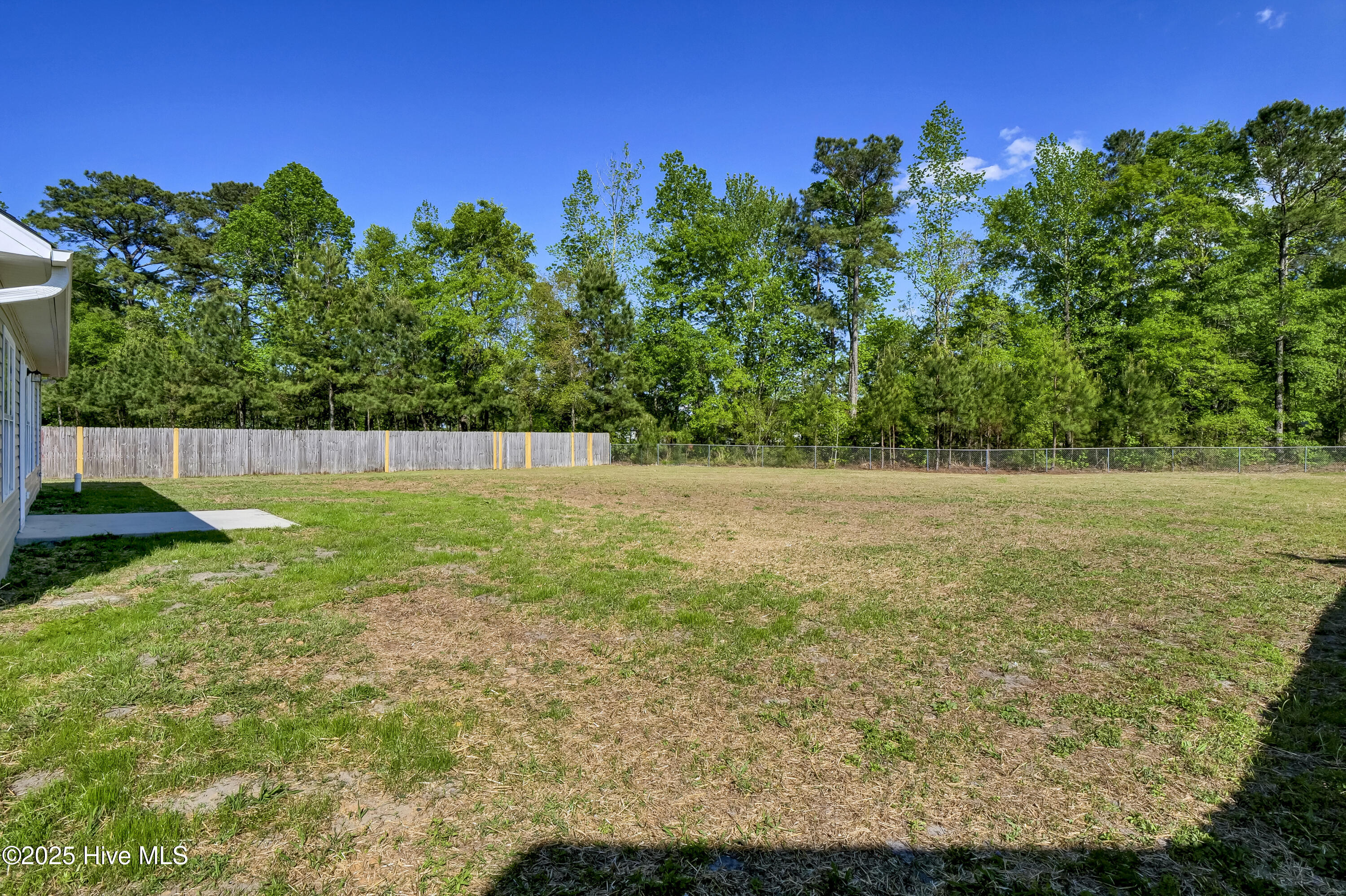 304 Big Tree Lane Property Photo 29