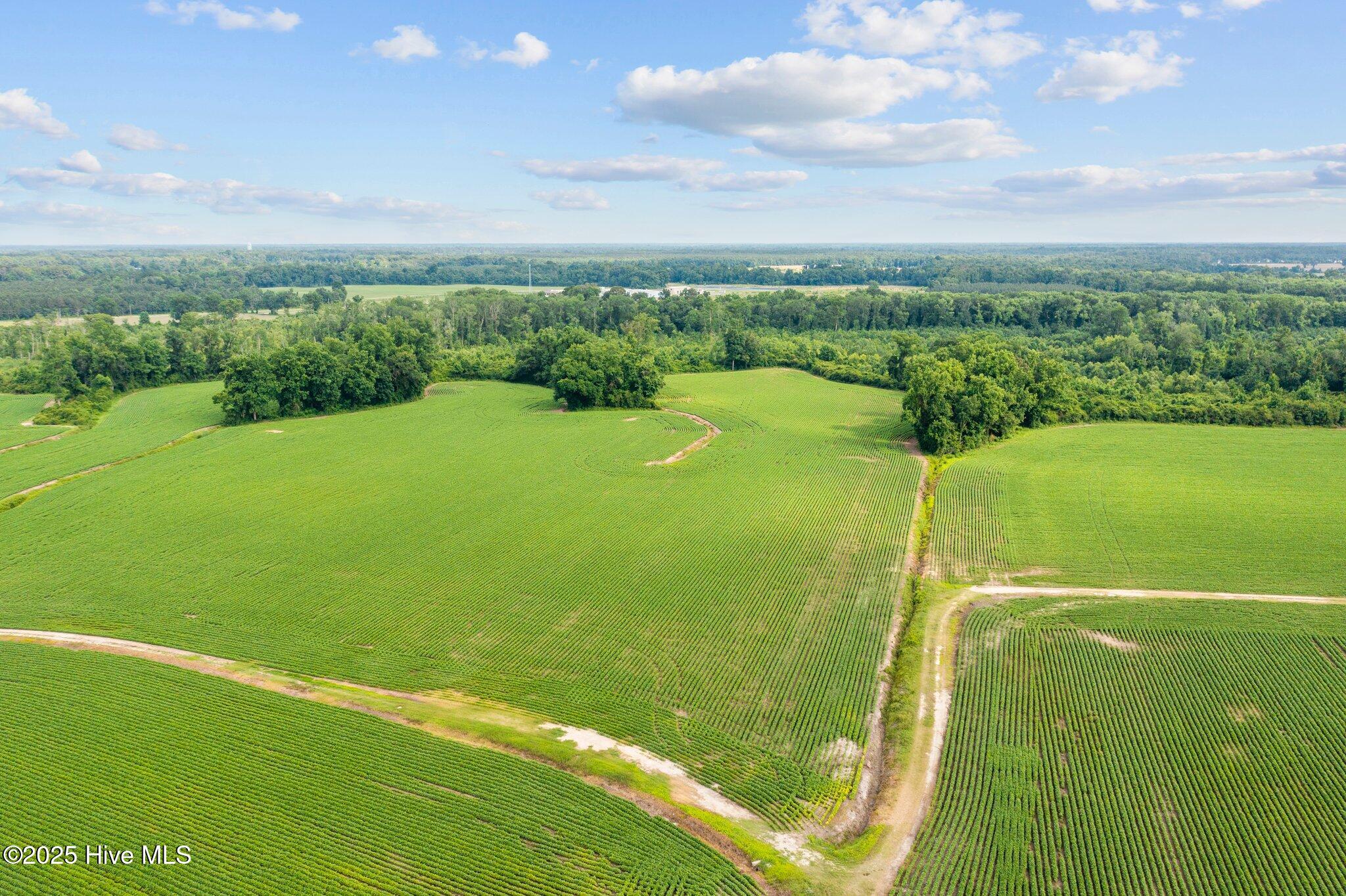 672 E Hargett Street Property Photo 11