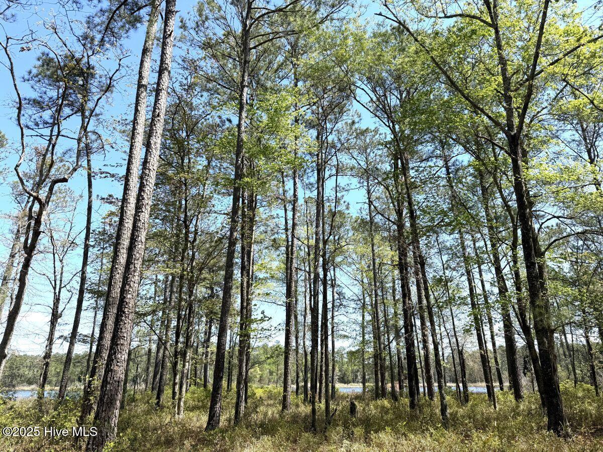 Lot 18 Davis Lane Property Photo 13