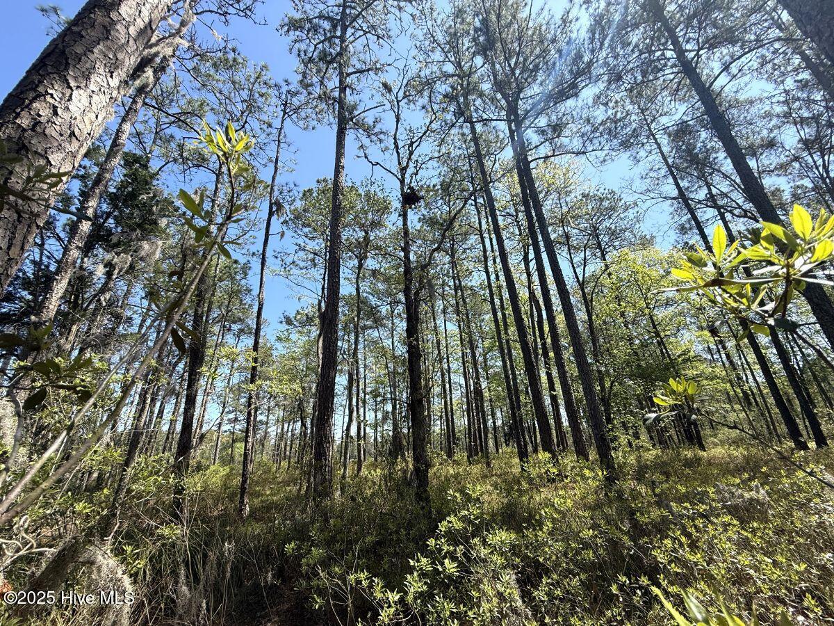 Lot 18 Davis Lane Property Photo 15