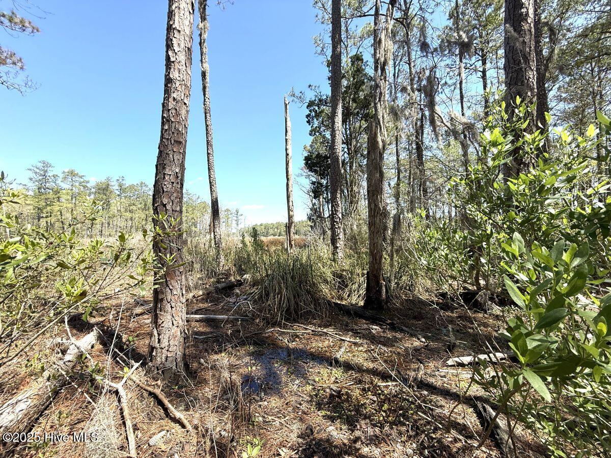 Lot 18 Davis Lane Property Photo 16