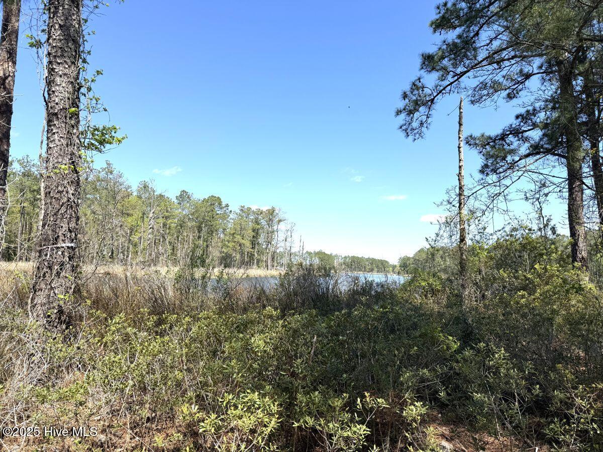 Lot 18 Davis Lane Property Photo 17