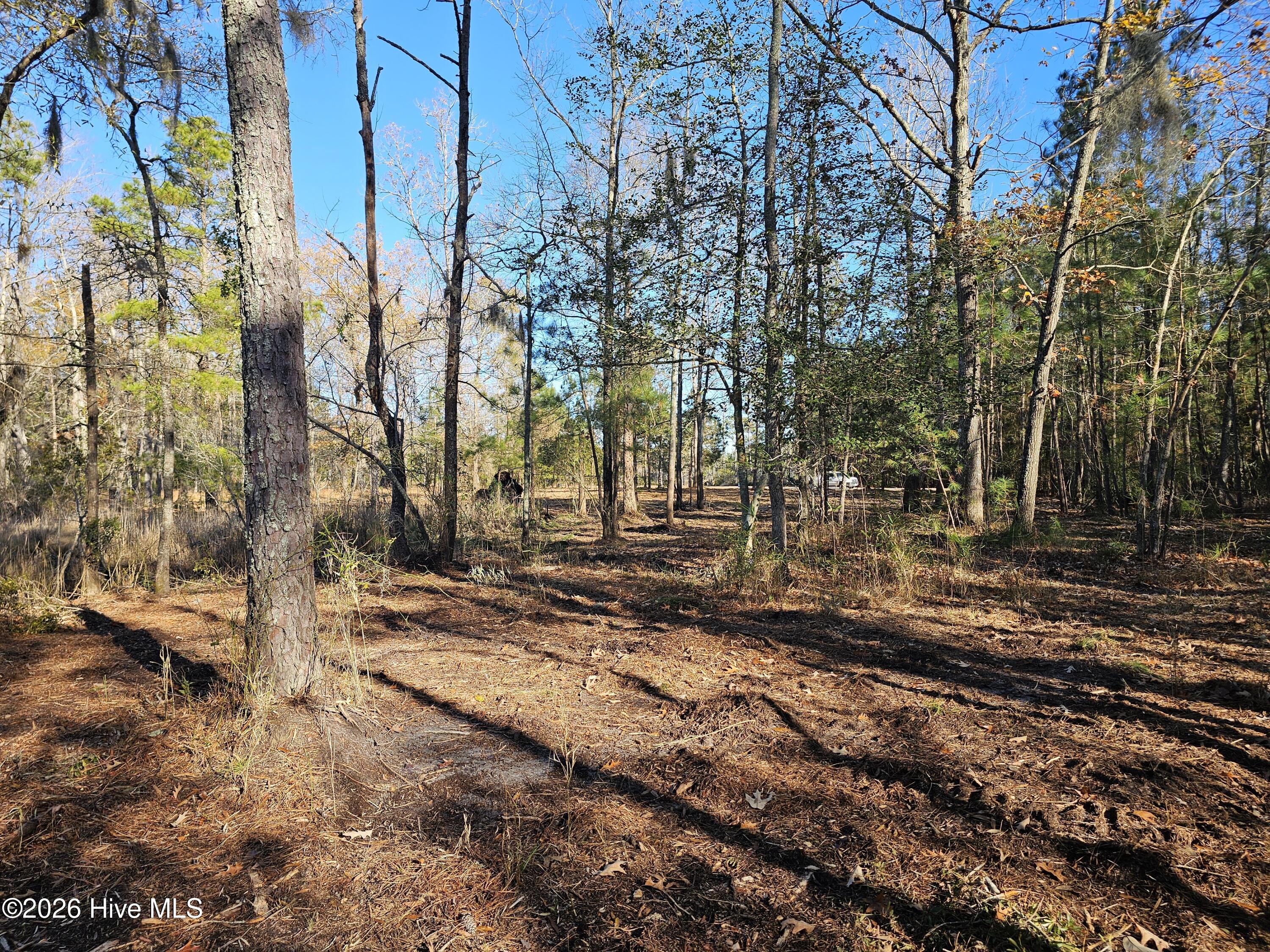 47 Sunset Point Road Property Photo 6