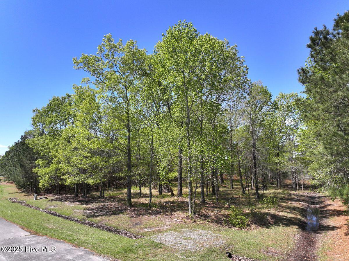 Lot 48 Sunset Point Property Photo 10