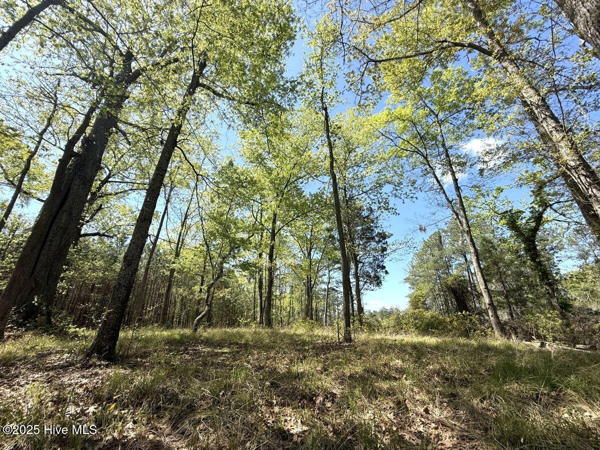 Lot 48 Sunset Point Property Photo 12