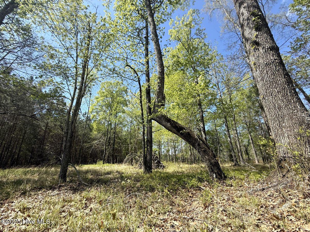 Lot 48 Sunset Point Property Photo 13