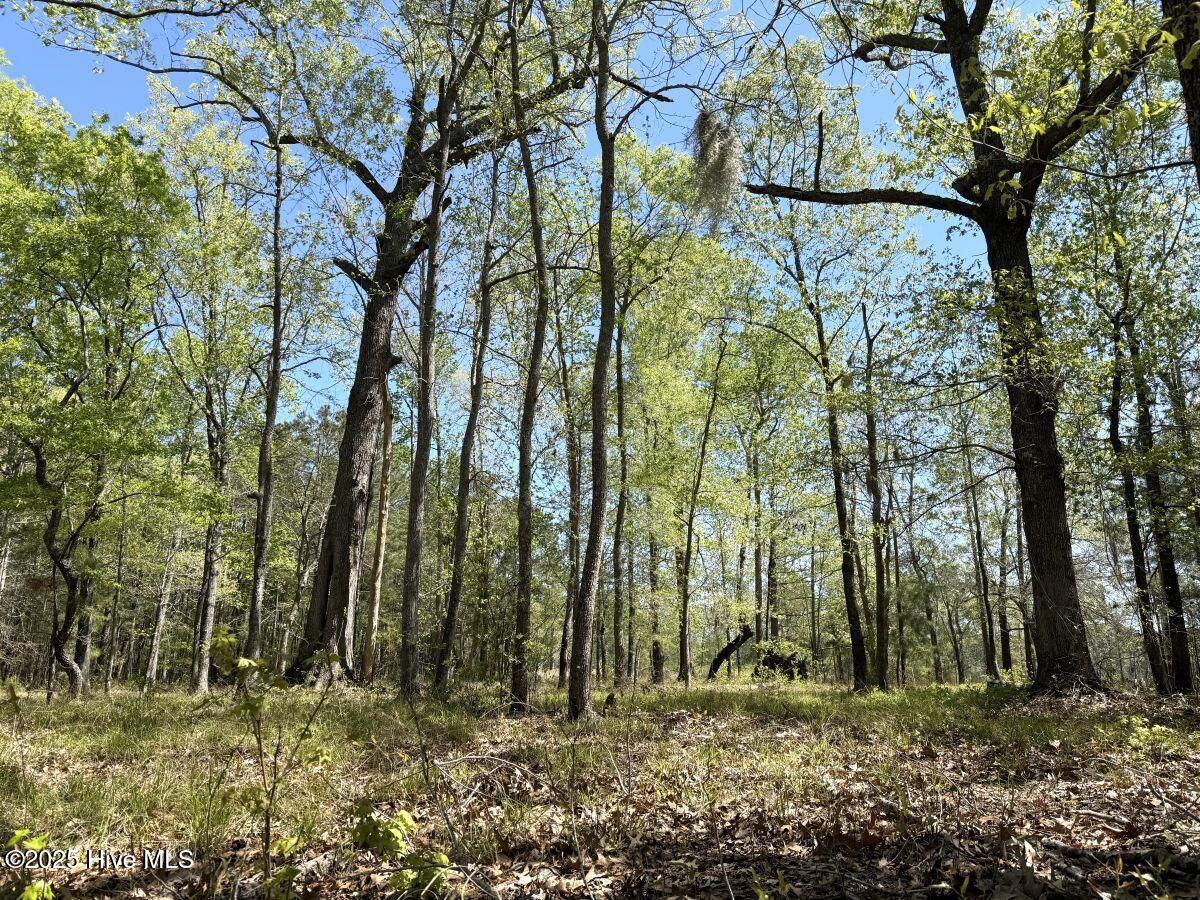 Lot 48 Sunset Point Property Photo 14