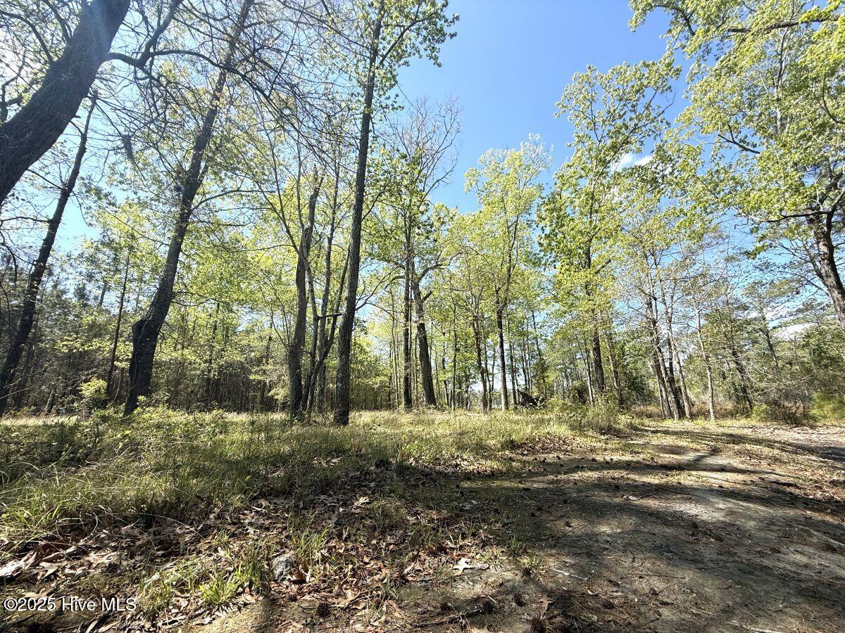 Lot 48 Sunset Point Property Photo 15