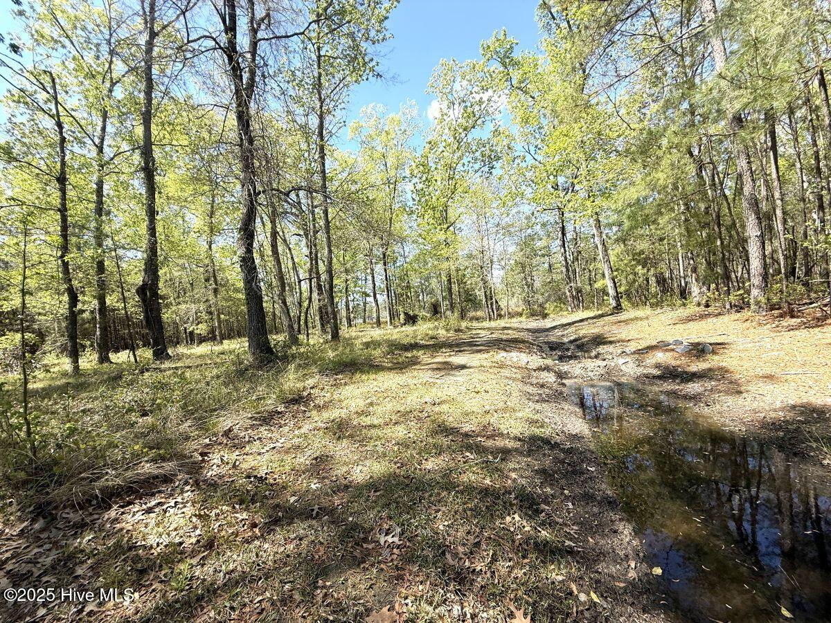 Lot 48 Sunset Point Property Photo 16