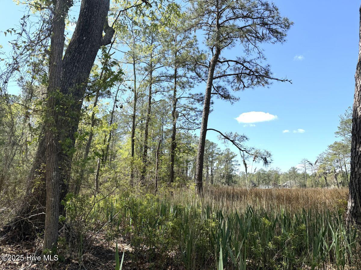 Lot 48 Sunset Point Property Photo 17