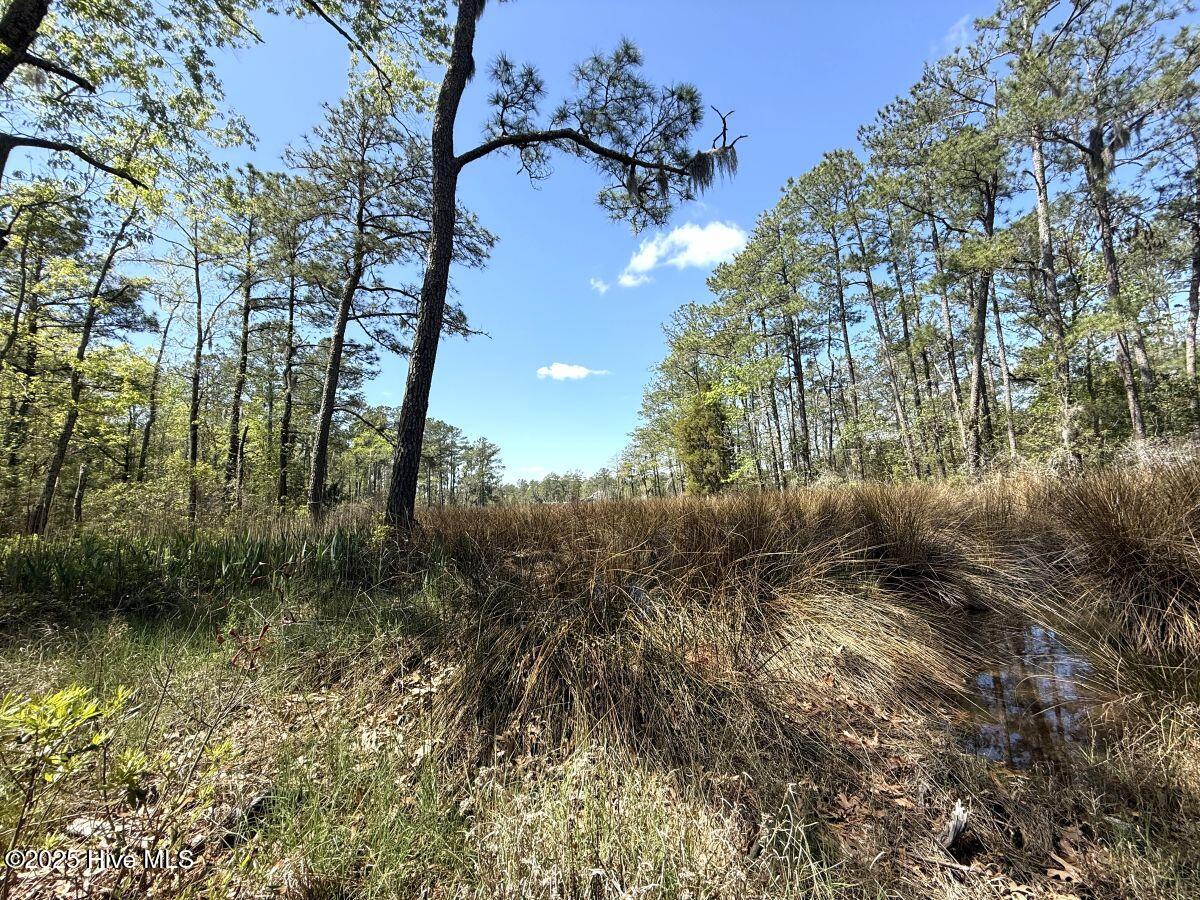 Lot 48 Sunset Point Property Photo 18