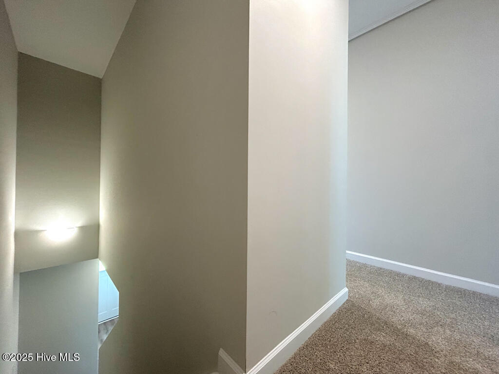 216 Crab Claw Spit Lane Property Photo 19