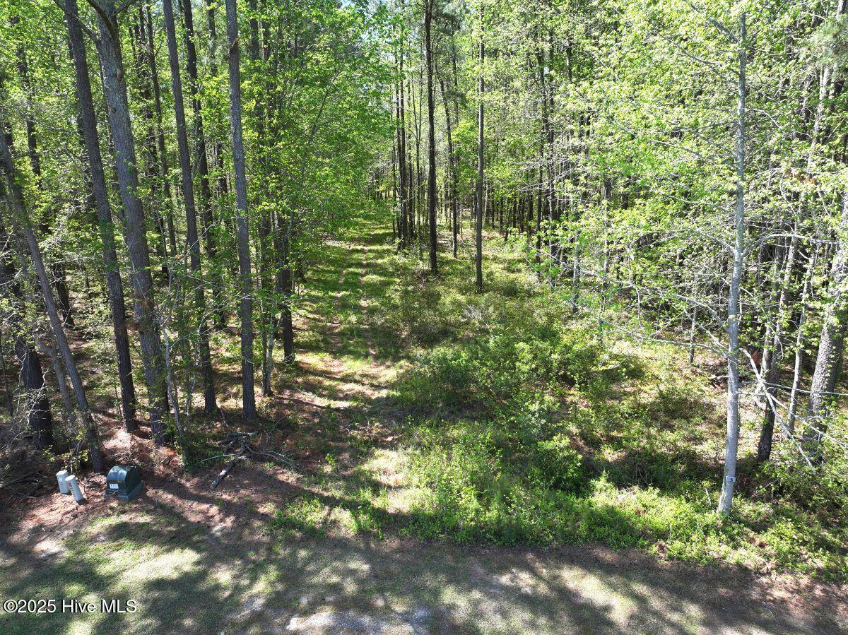 Lot 5 Mixon Creek Drive Property Photo 9