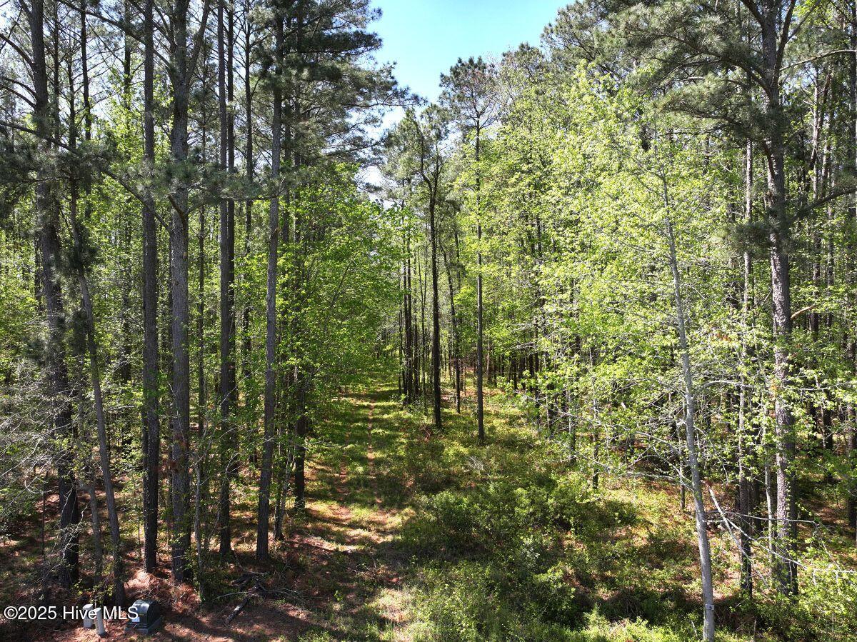 Lot 5 Mixon Creek Drive Property Photo 10
