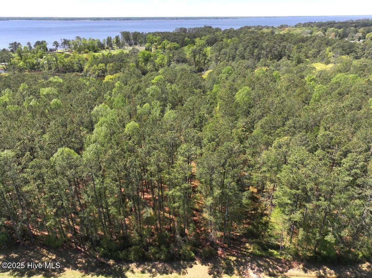 Lot 5 Mixon Creek Drive Property Photo 11