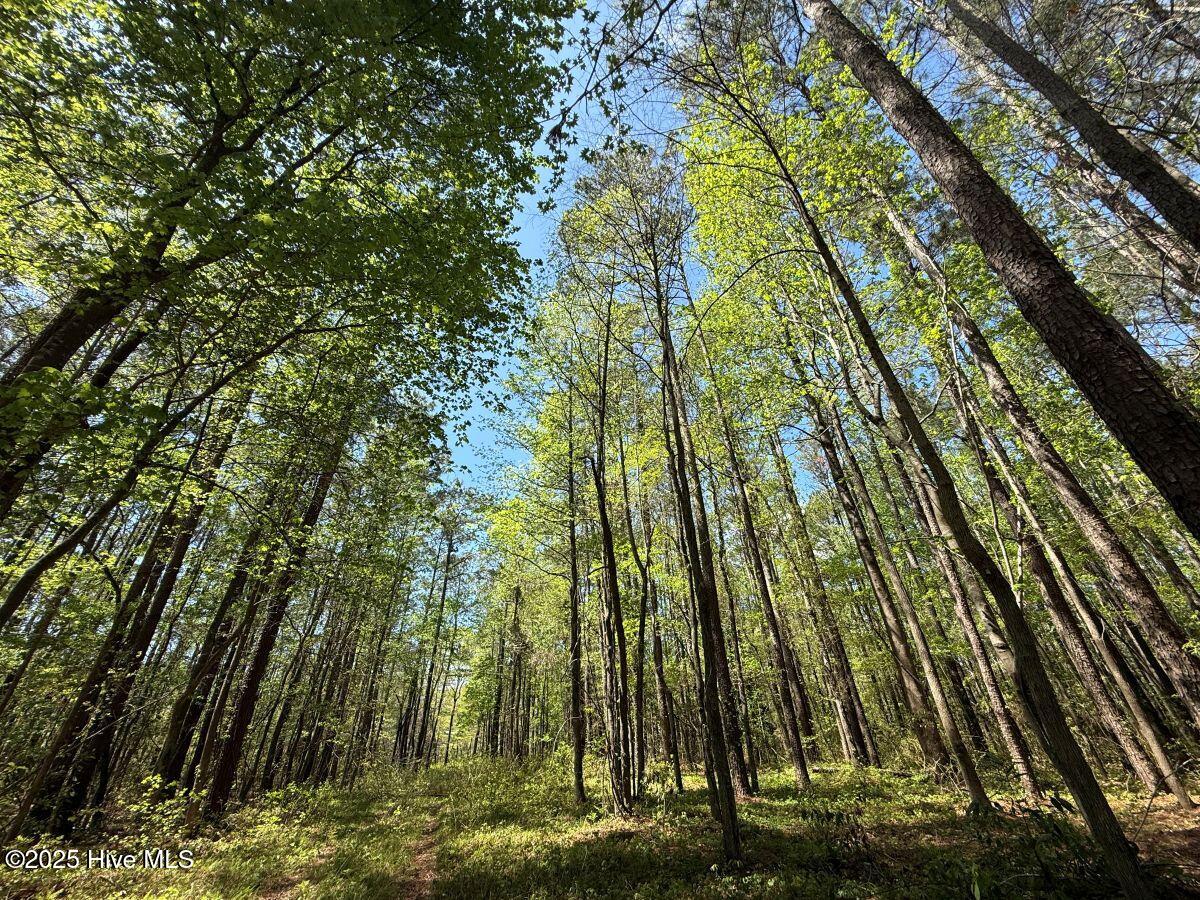 Lot 5 Mixon Creek Drive Property Photo 12