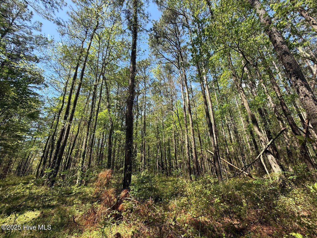 Lot 5 Mixon Creek Drive Property Photo 13